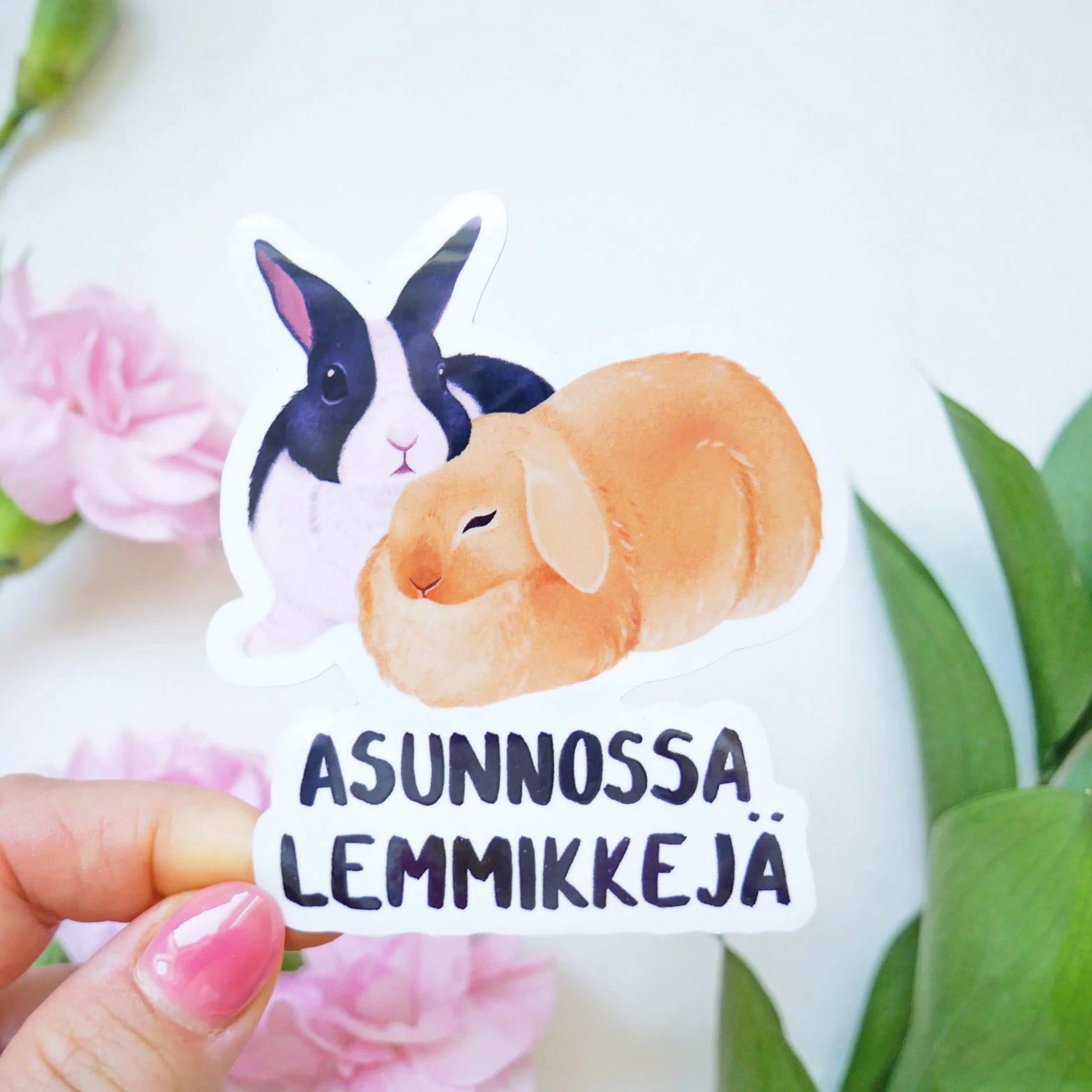 asunnossakanejacloseup.jpg