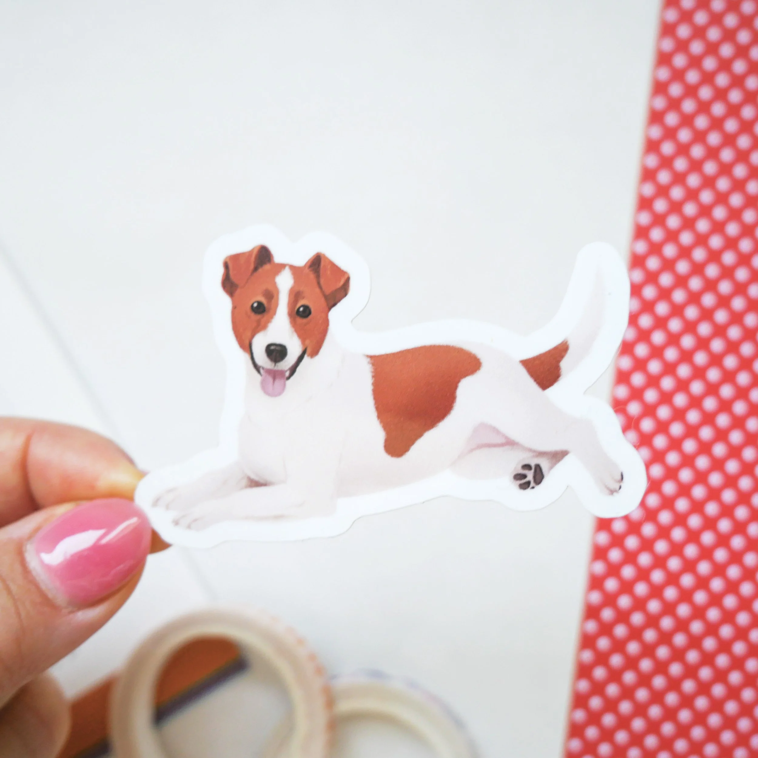 jackrussellcloseup.jpg