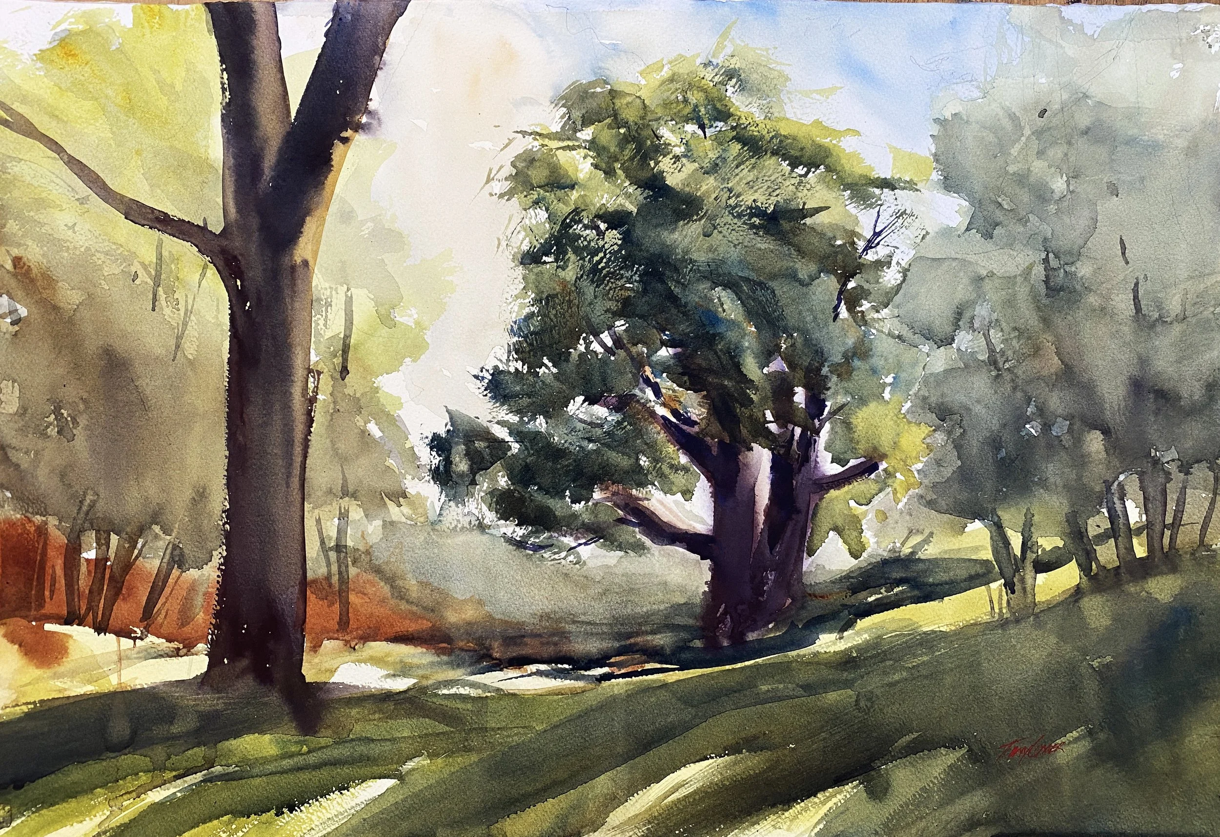 “Summer Tree” - watercolor en plein air landscape painting