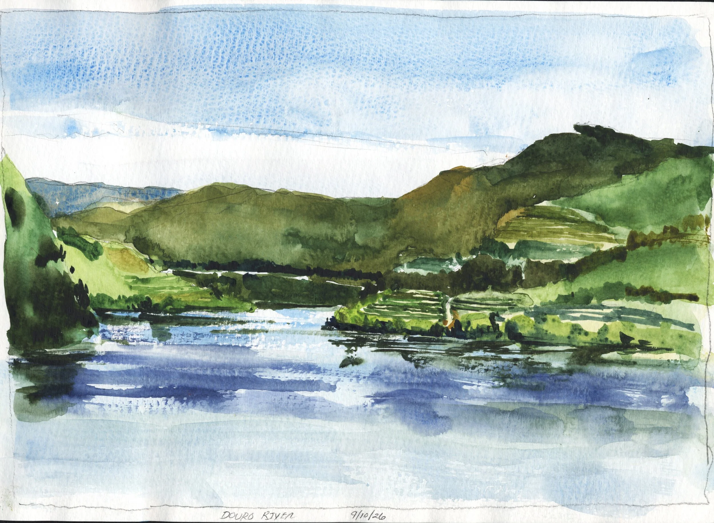 Tiered Grape Plantings On The Douro River