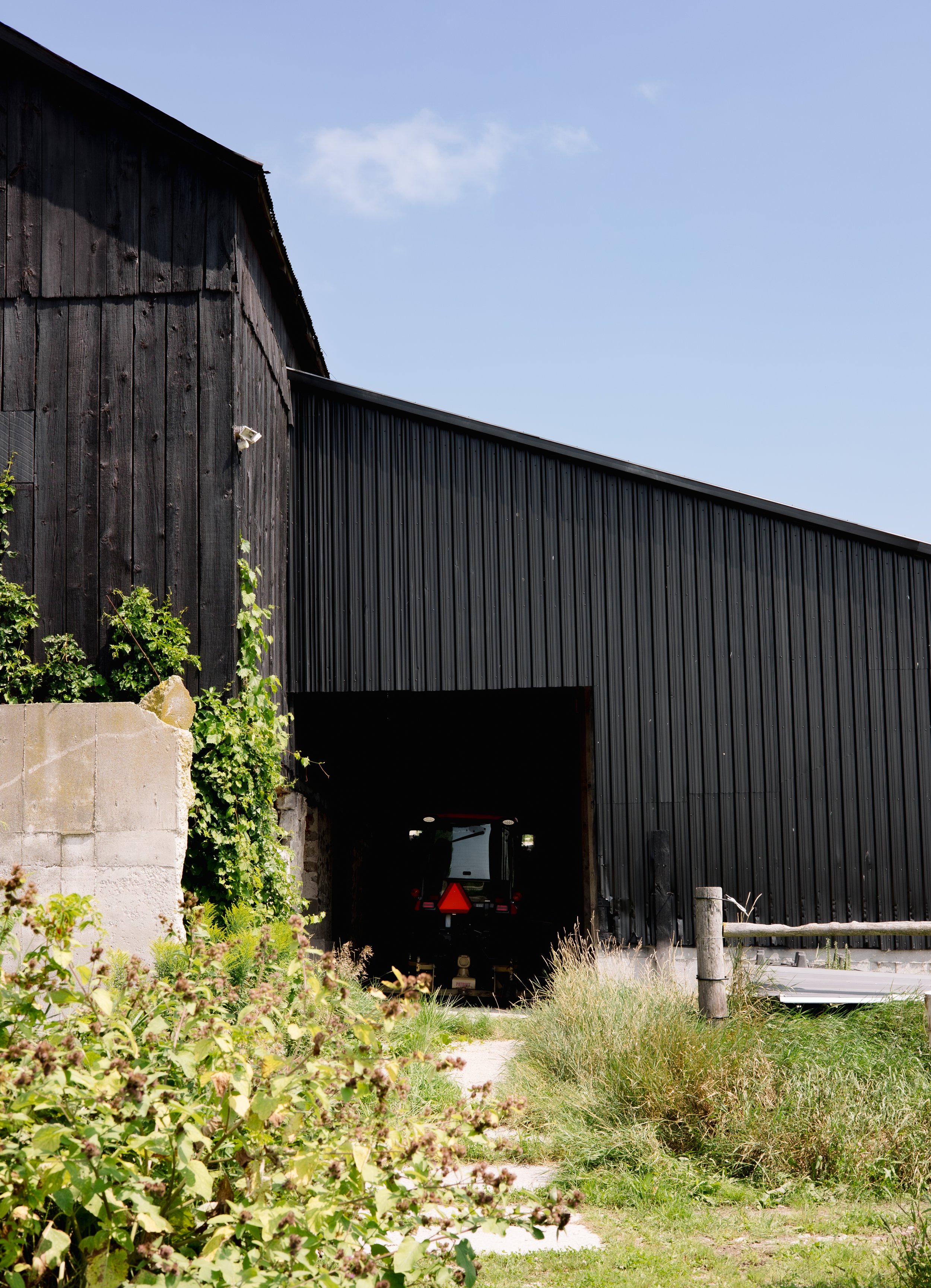farm1-18.jpg