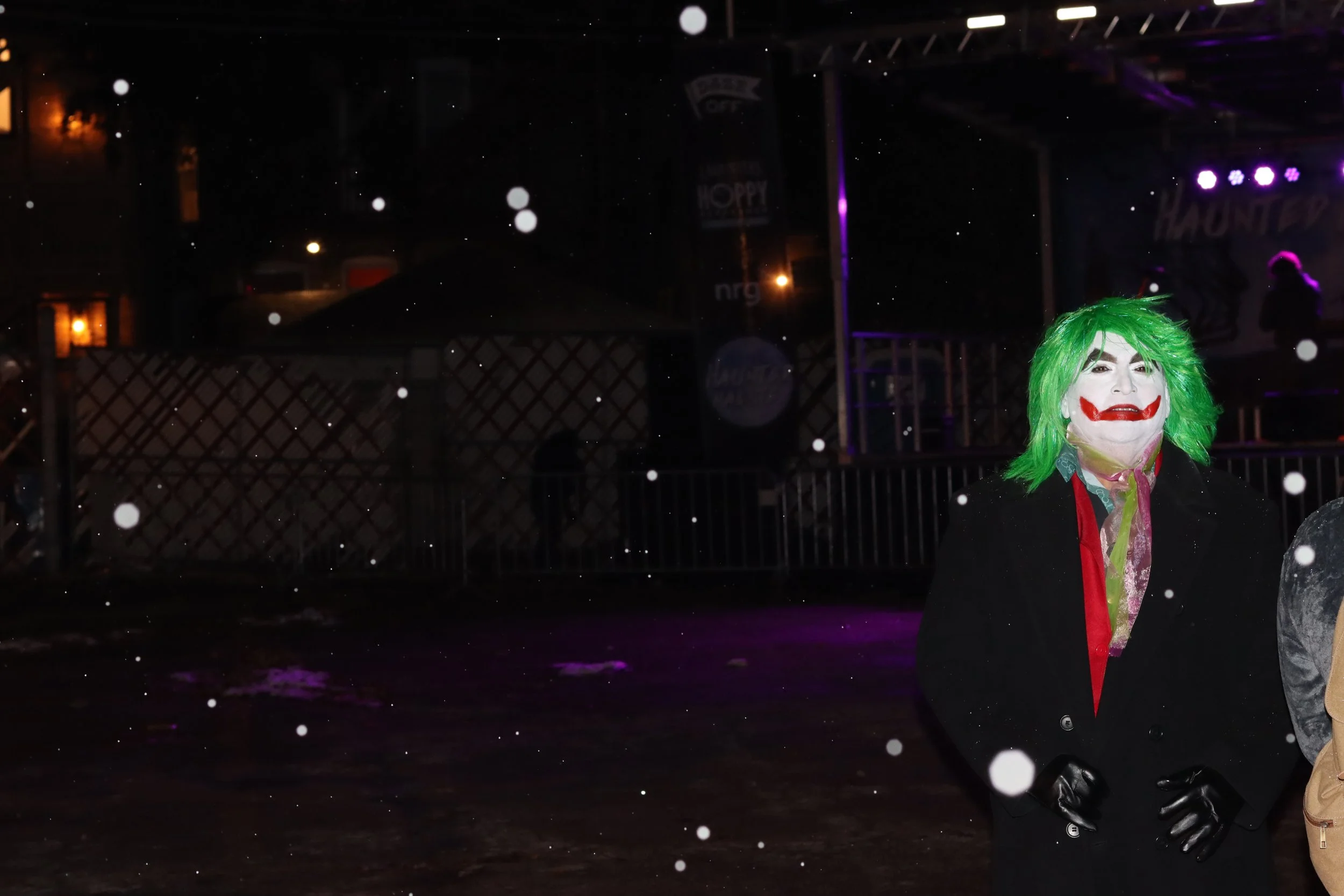 snowy joker.JPG