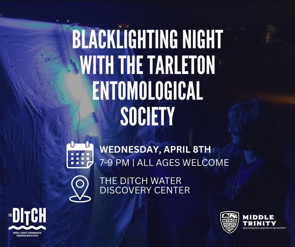 Blacklighting Night with The Tarleton Entomological Society