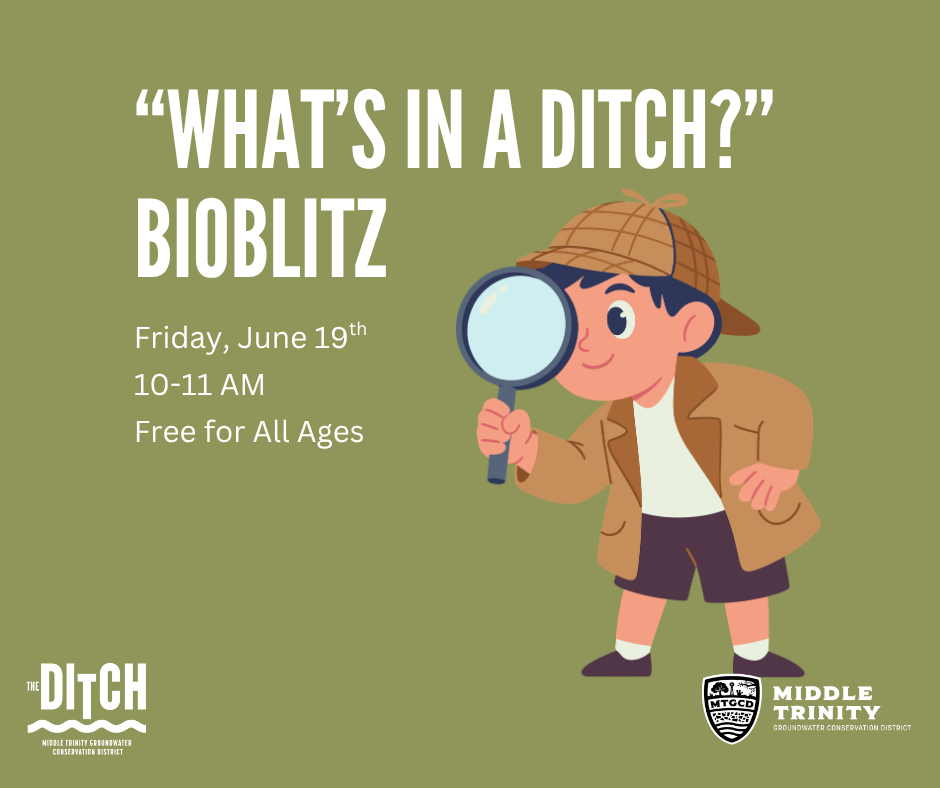 “What’s in a Ditch?” Bioblitz