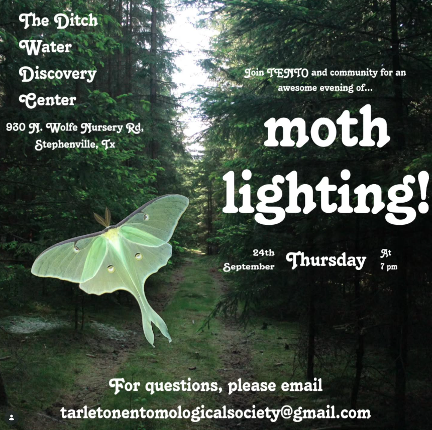 Moth Blacklighting with Tarleton Entomological Society