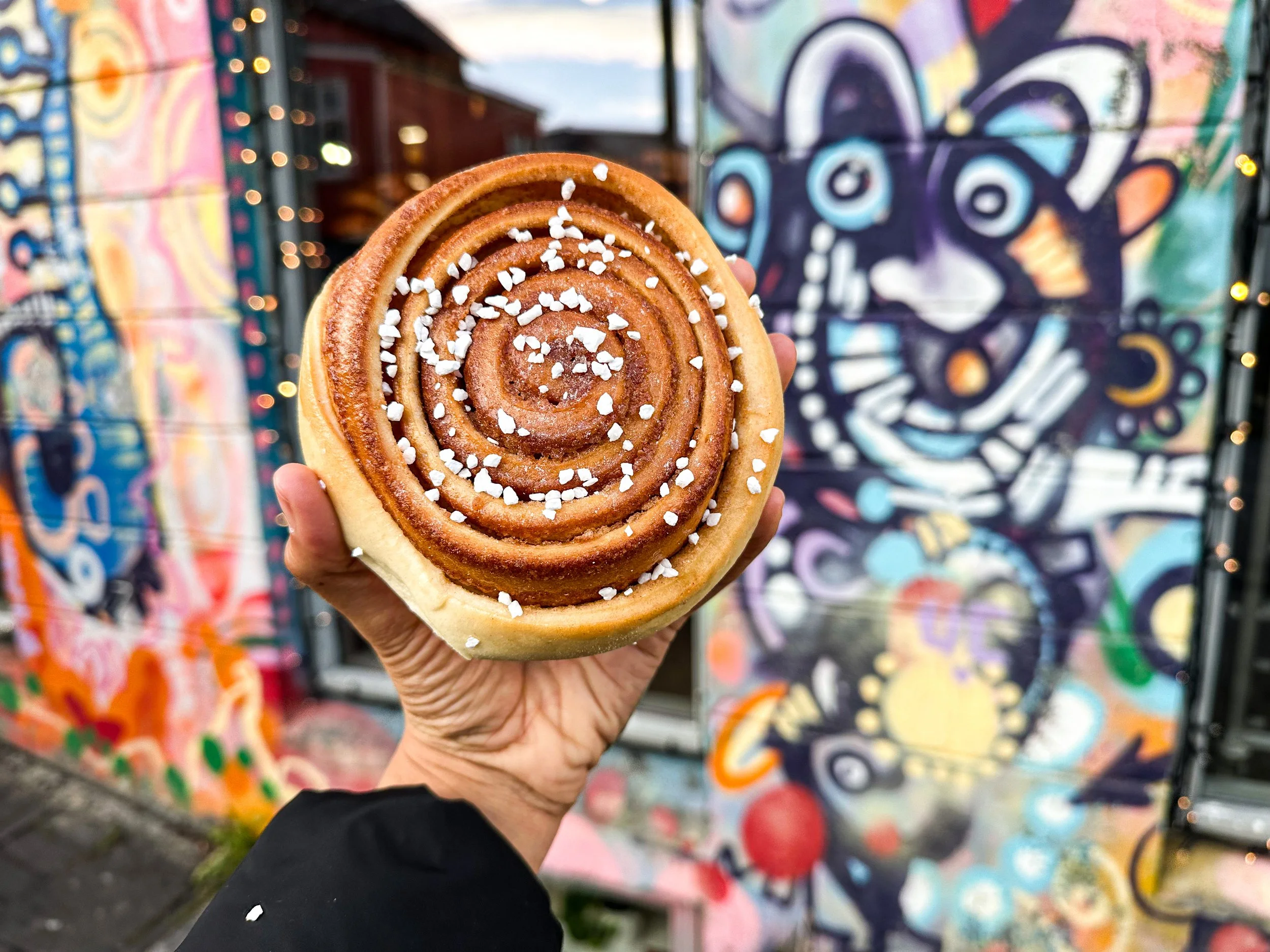 Vegan Snúður in Iceland