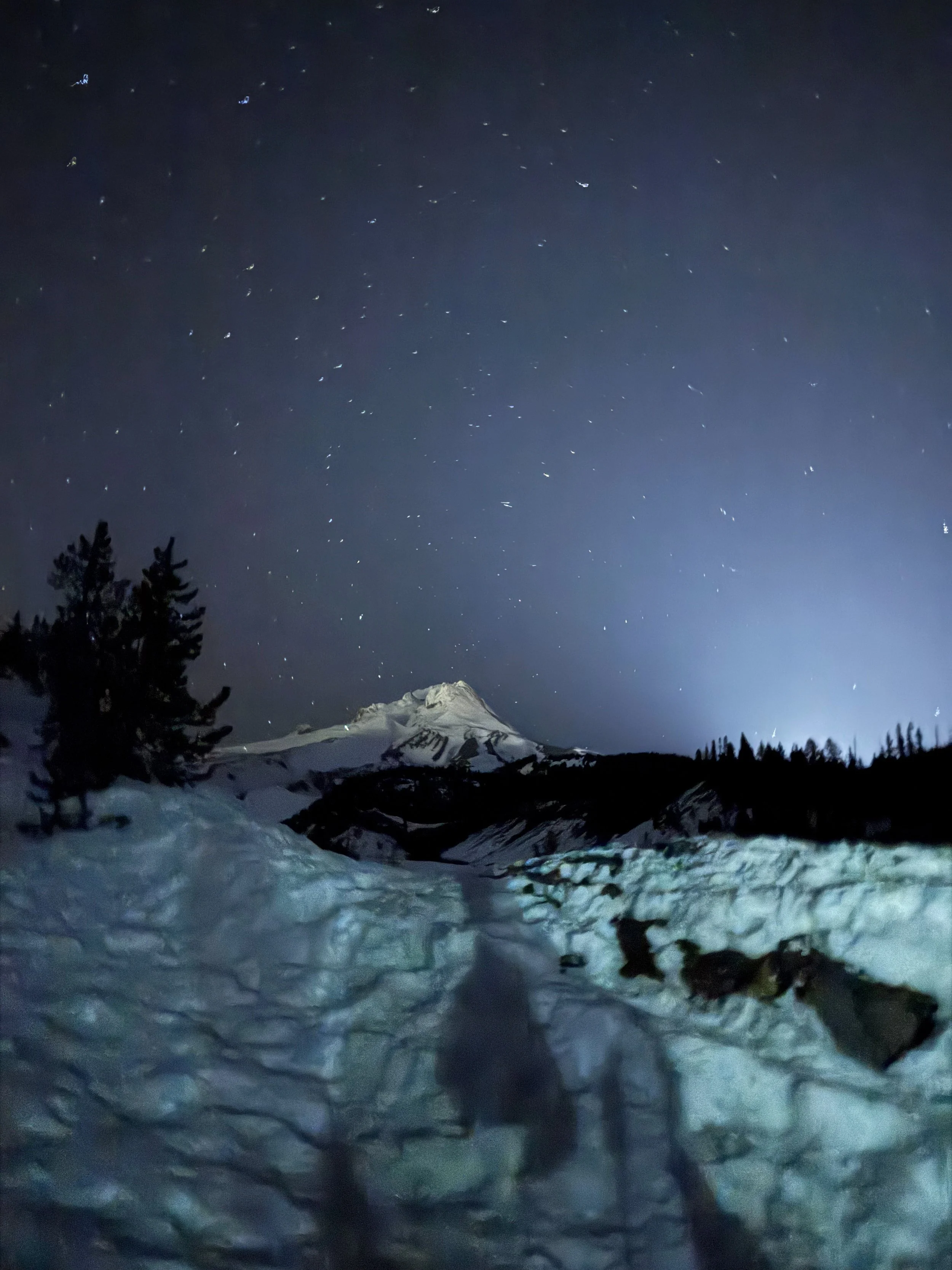 Best Winter Activities To Do Outside of Portland, Oregon