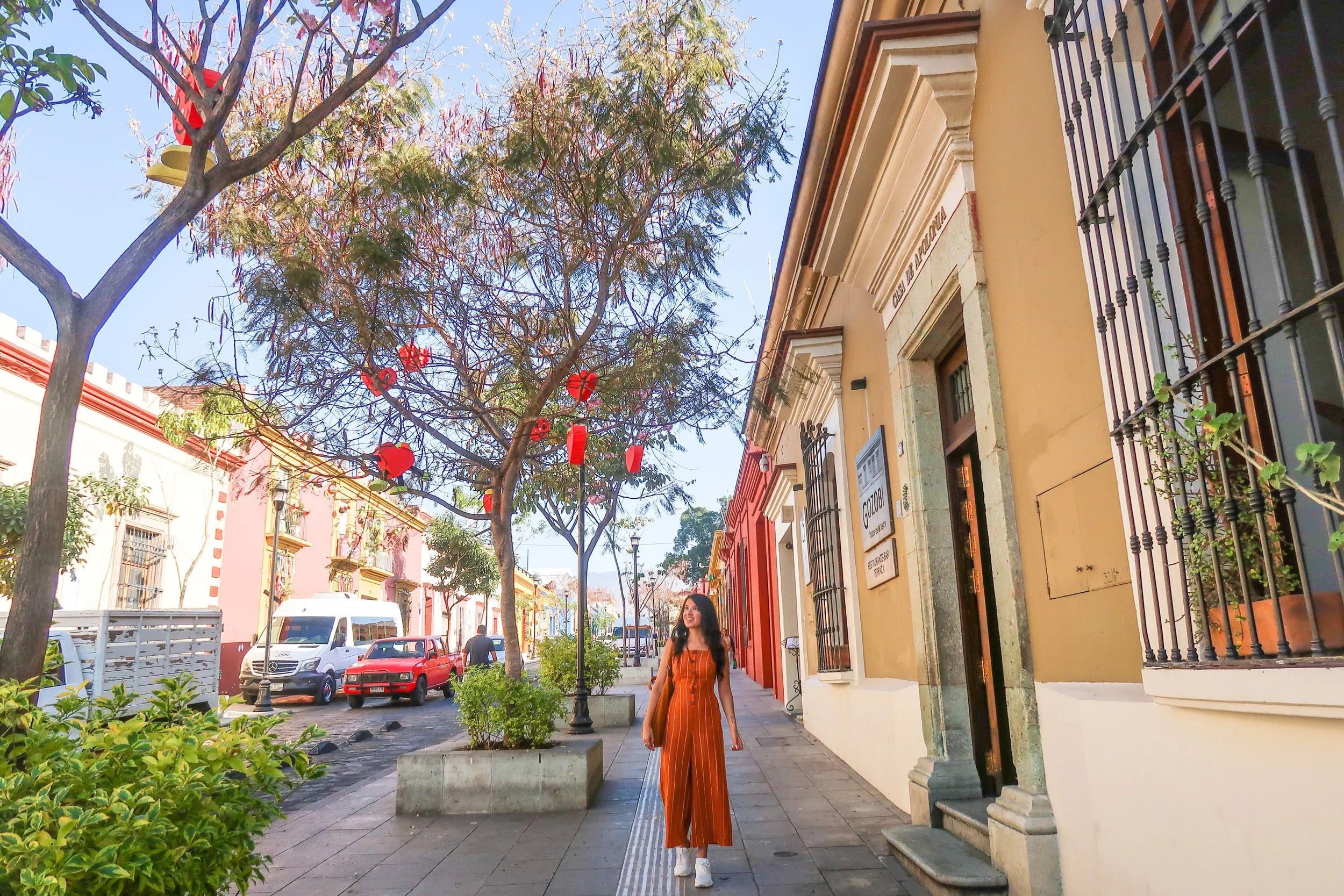 Oaxaca, Mexico Vegan Ventures Group Tour 2027