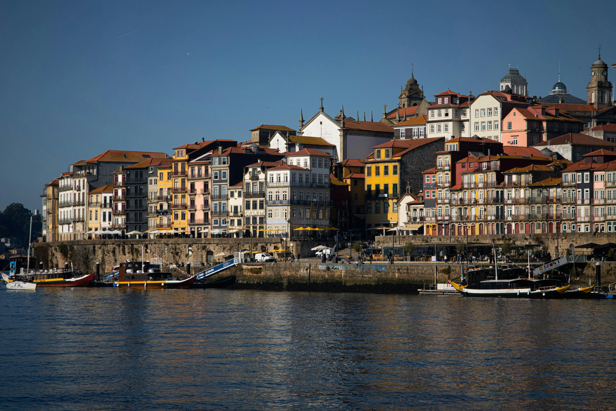 Portugal Vegan Ventures Group Tour 2027