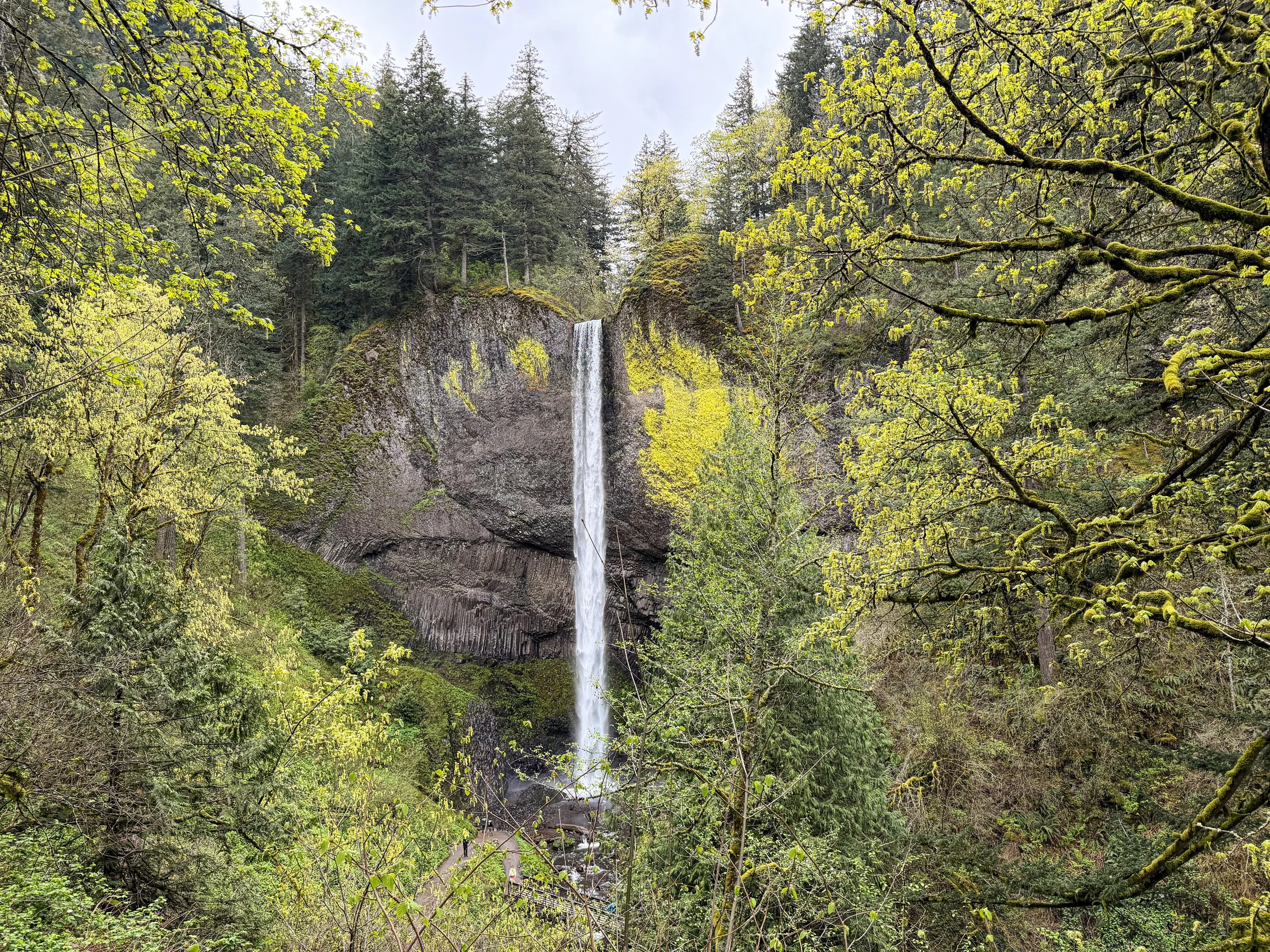 Latourell Falls Oregon