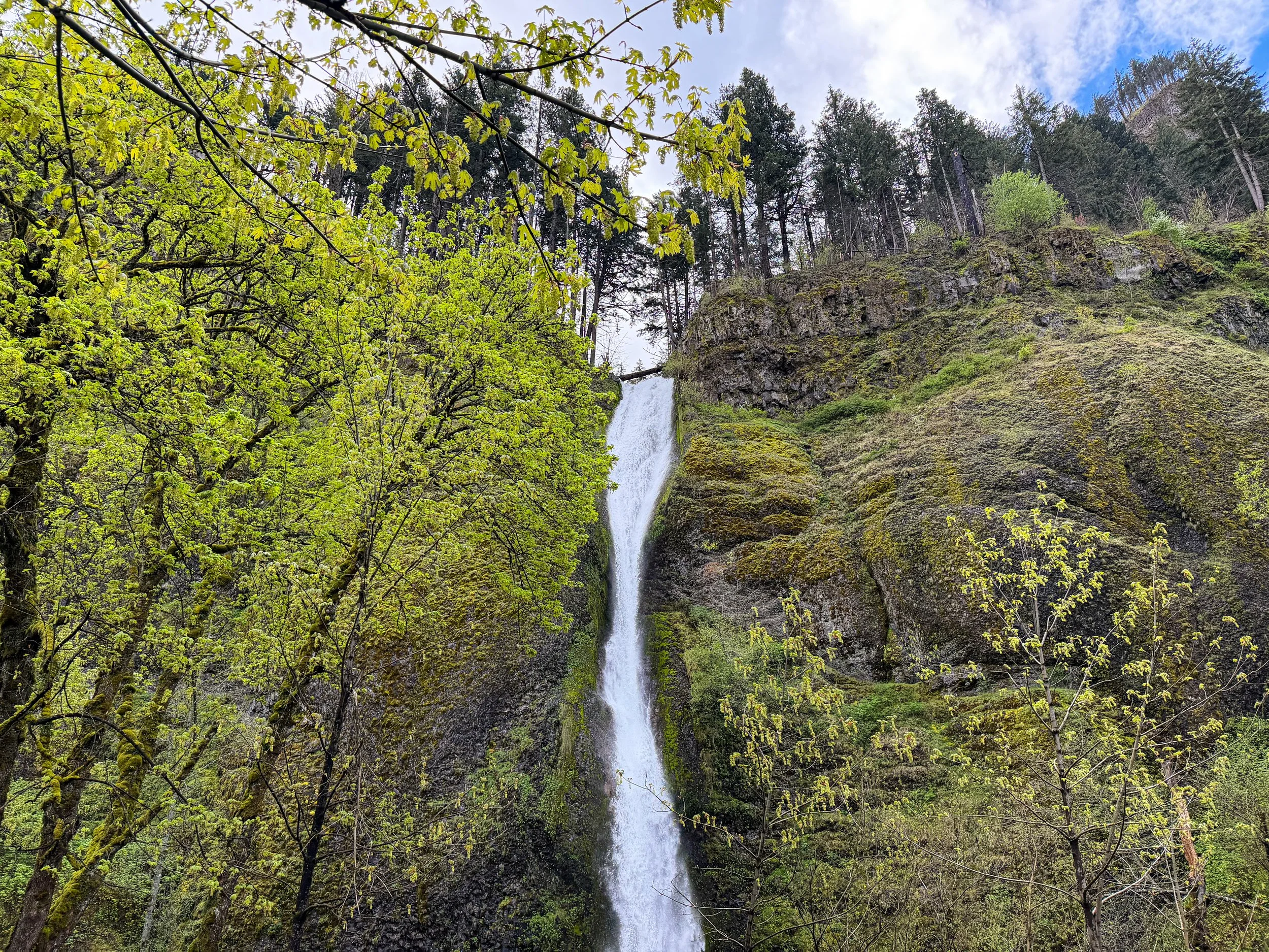 Horsetail Falls in the gorge Oregon