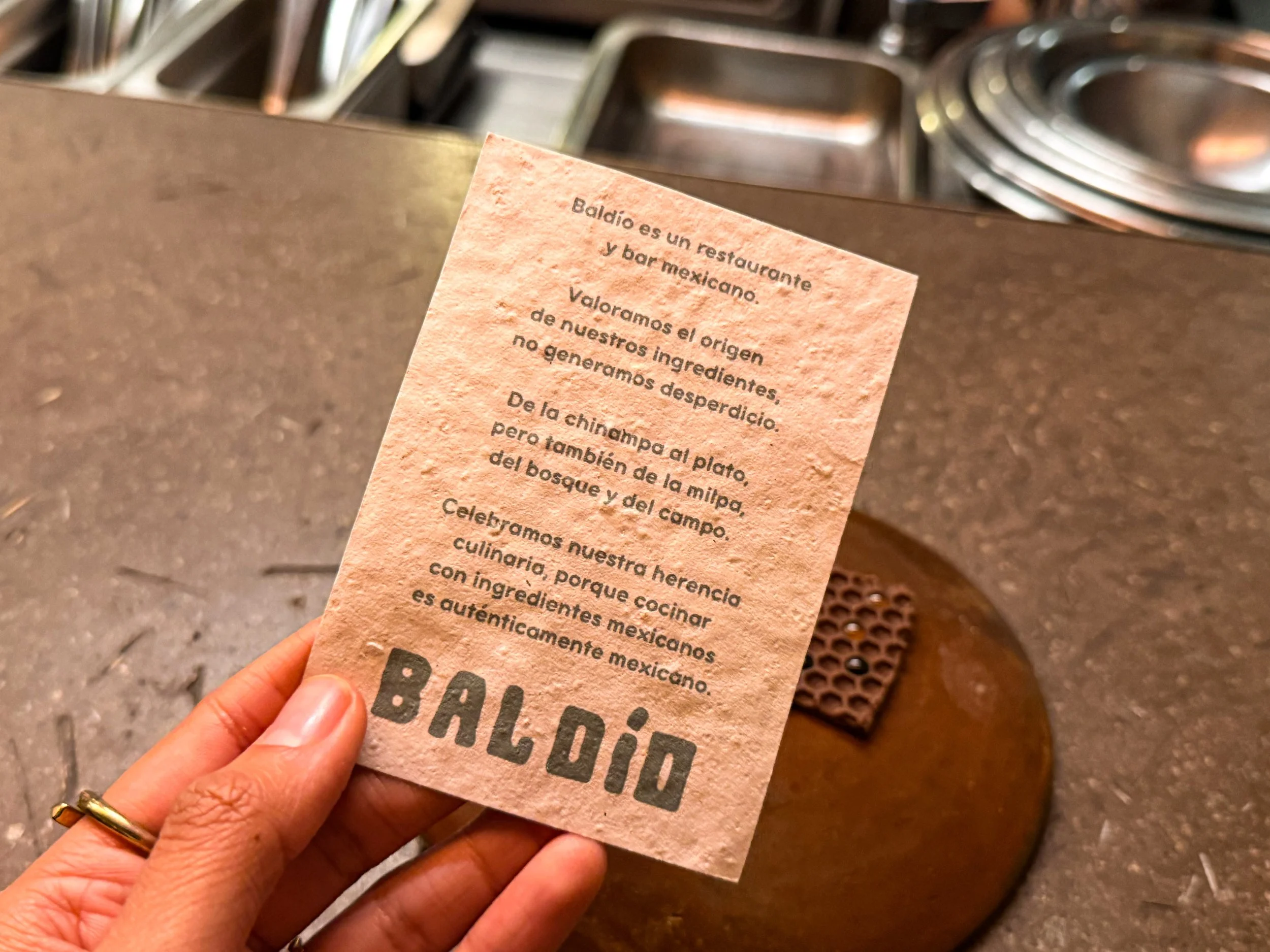 Baldío's mission description