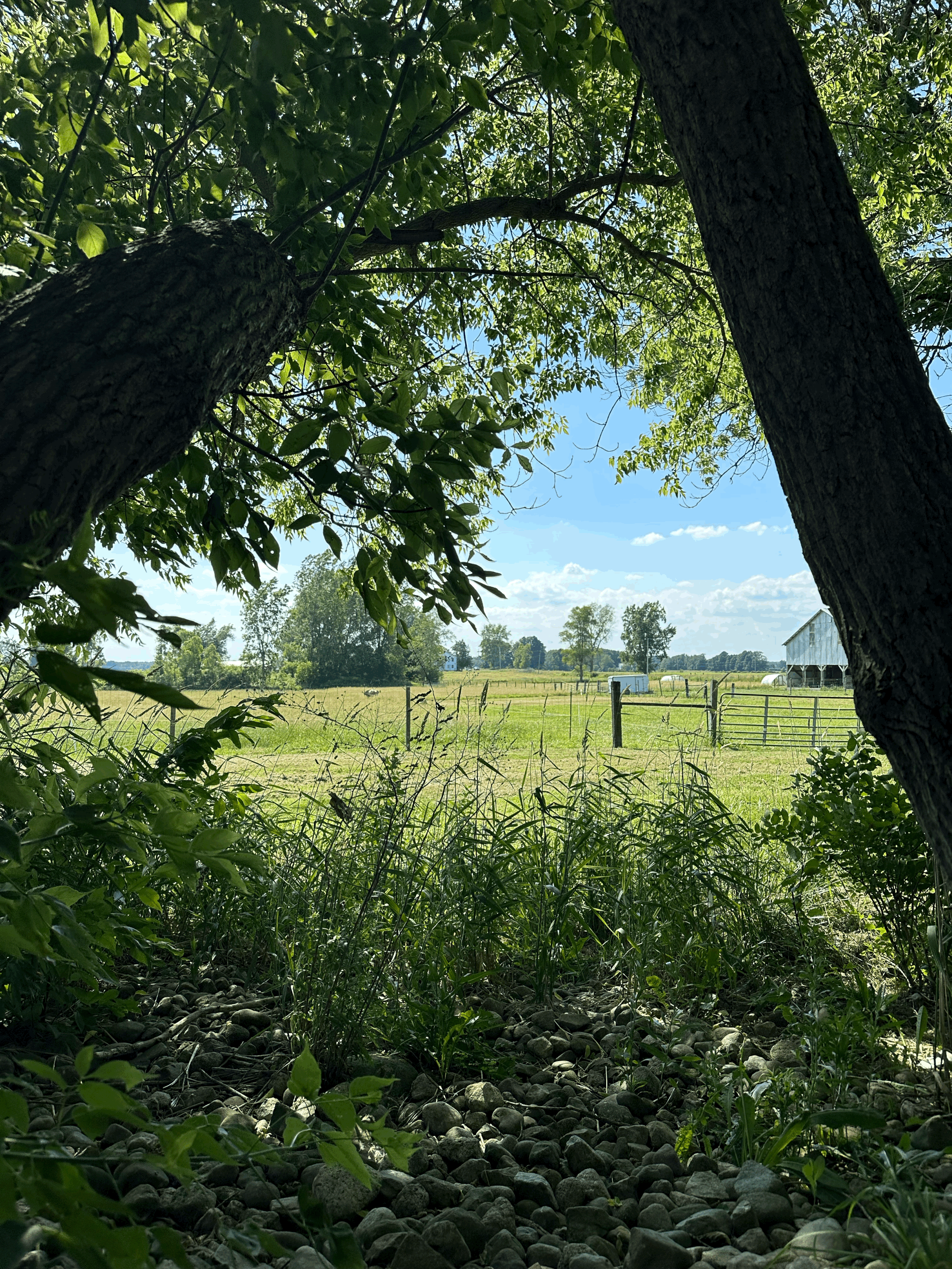 What platform is best for marketing your Homestead Business?
