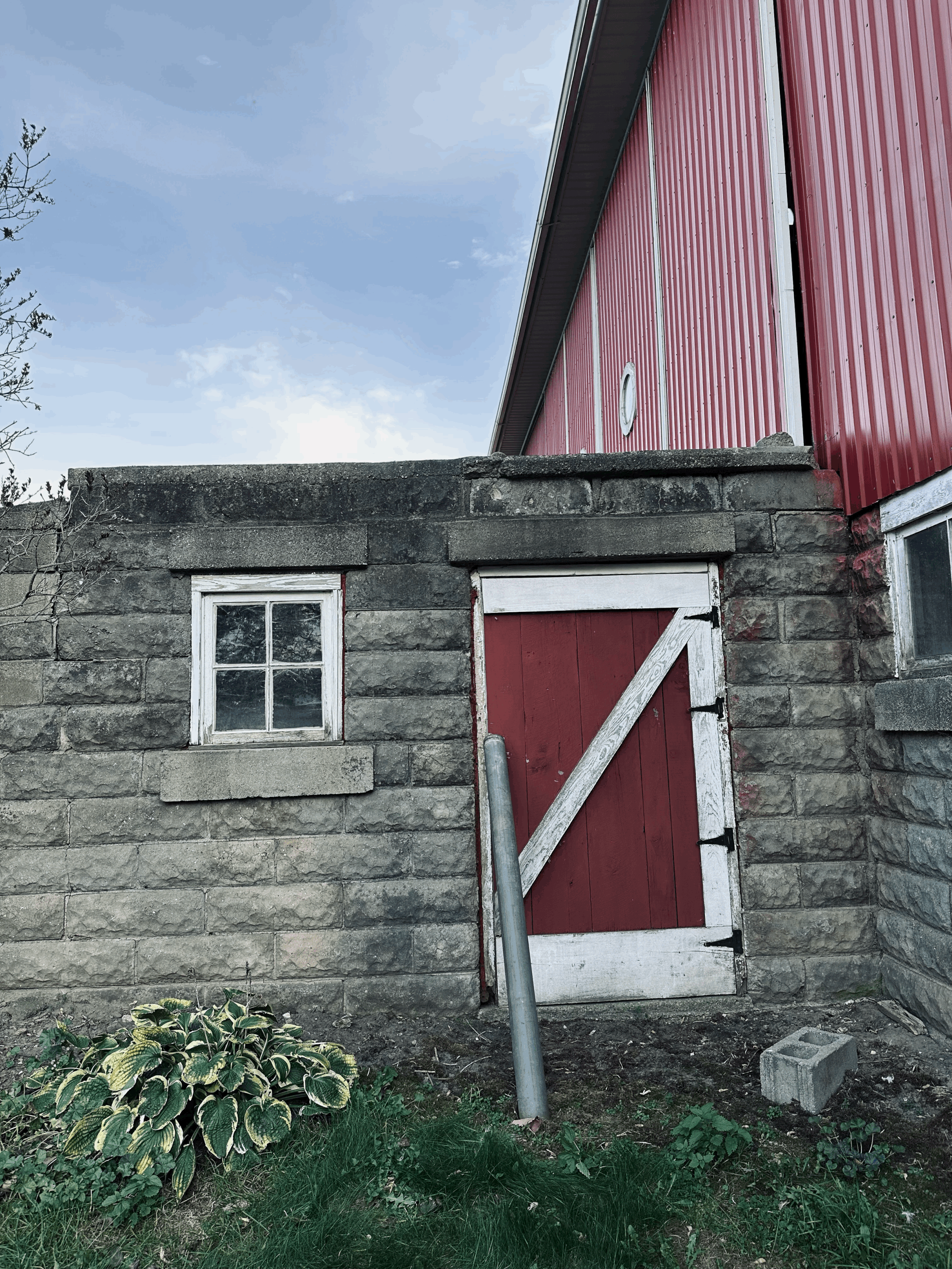 How Much Money We Made on Our 10 Acre Homestead (2025)