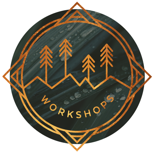 Randi Buckley's Workshops