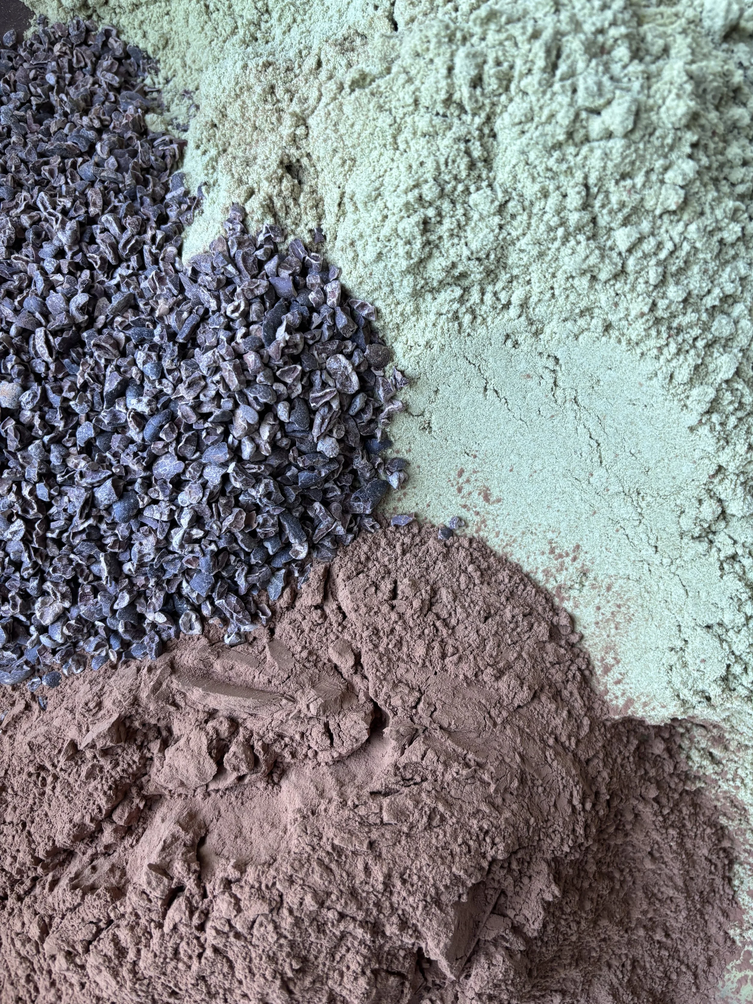 Pumpkin Seed Protein Powder (Cacao)