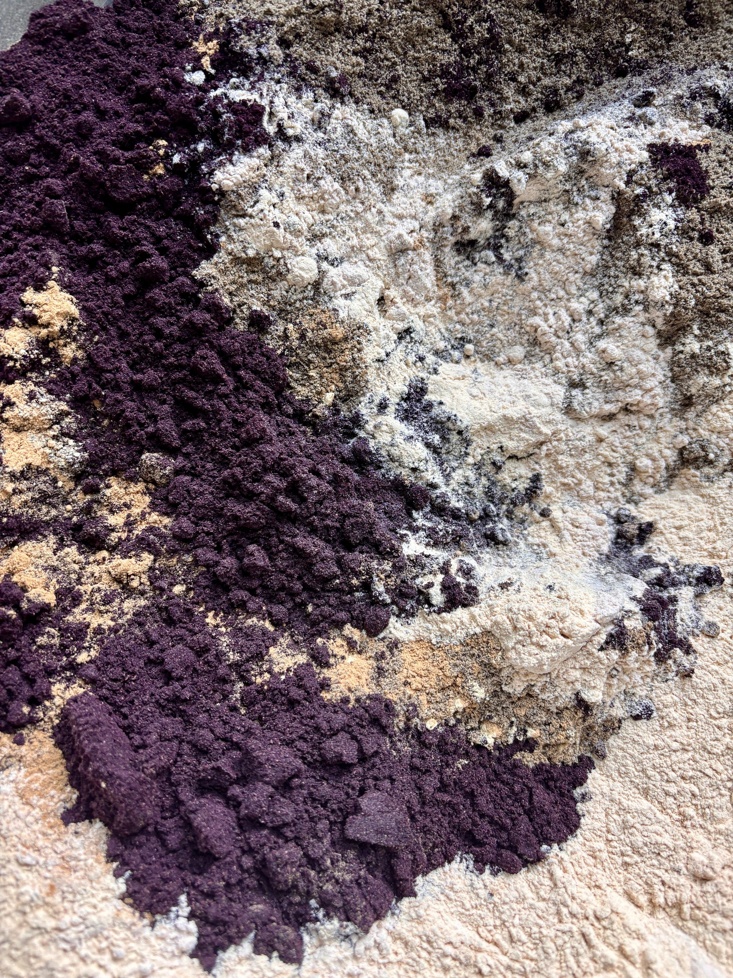 BLOOD+GUT Metabolic Powder