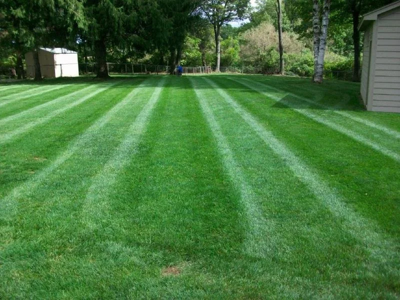 Lawn Care Grandville, MI Lawn Mowing Service