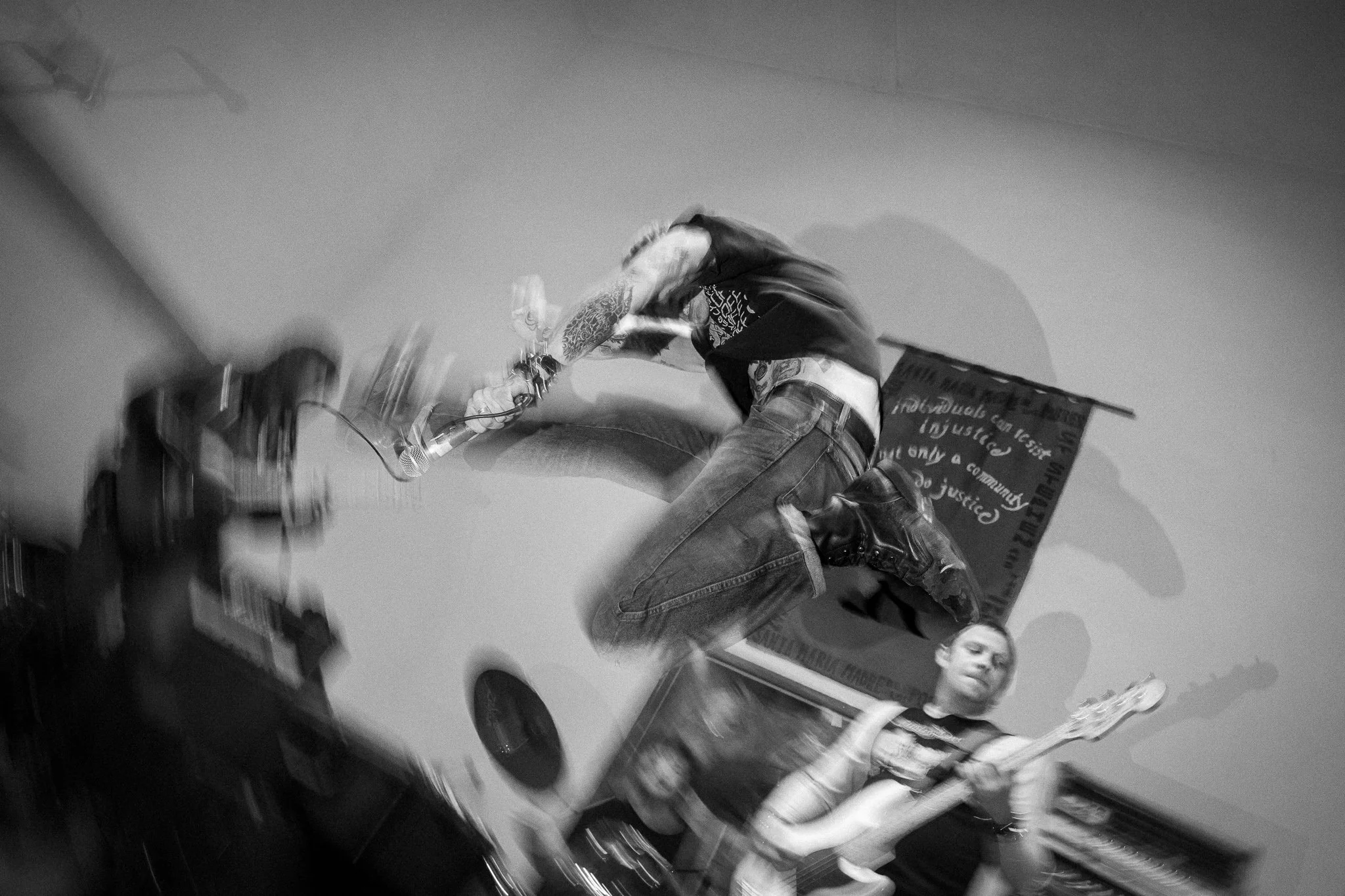 Invertebrates. 11/2024