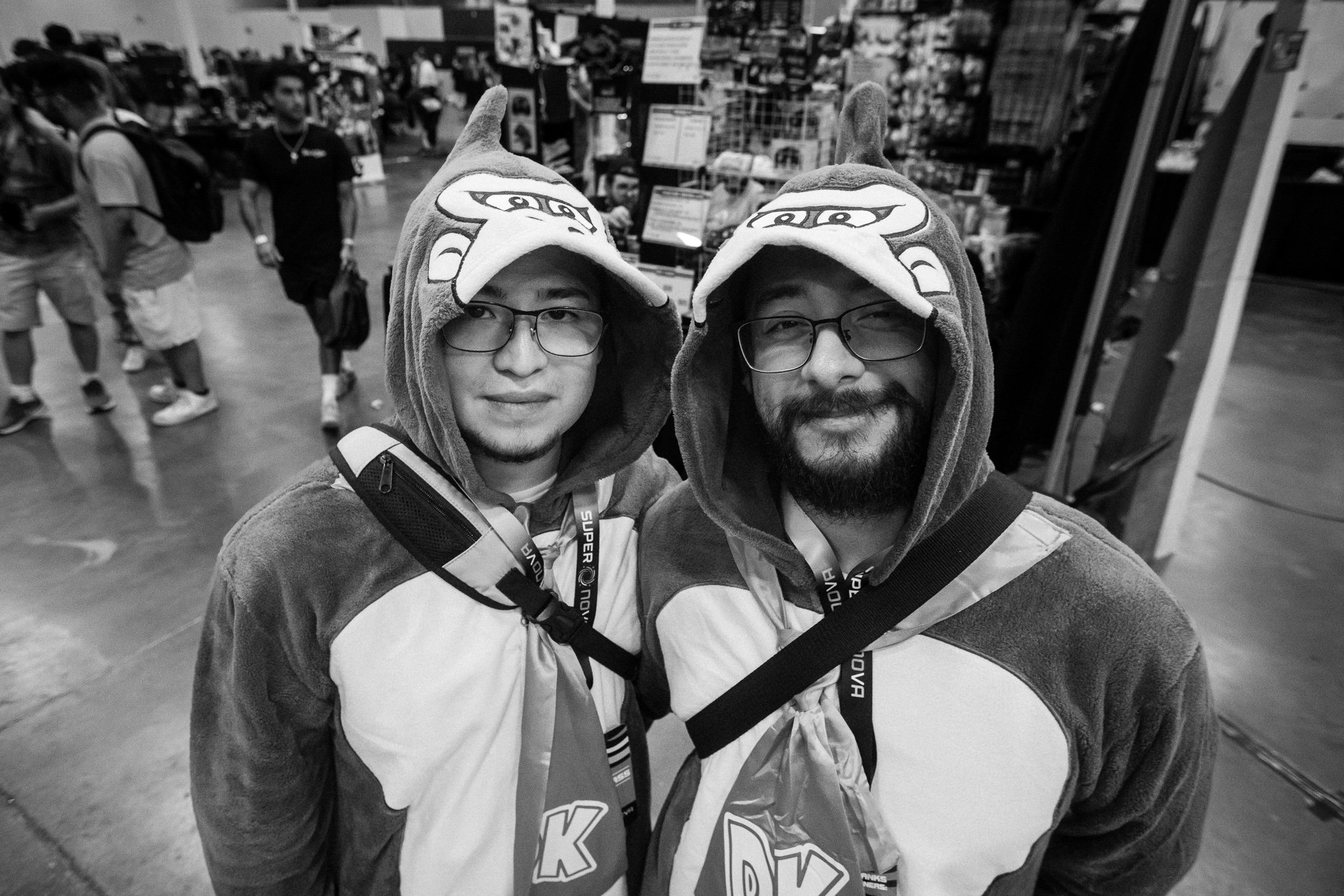 Donkey Kong fans
