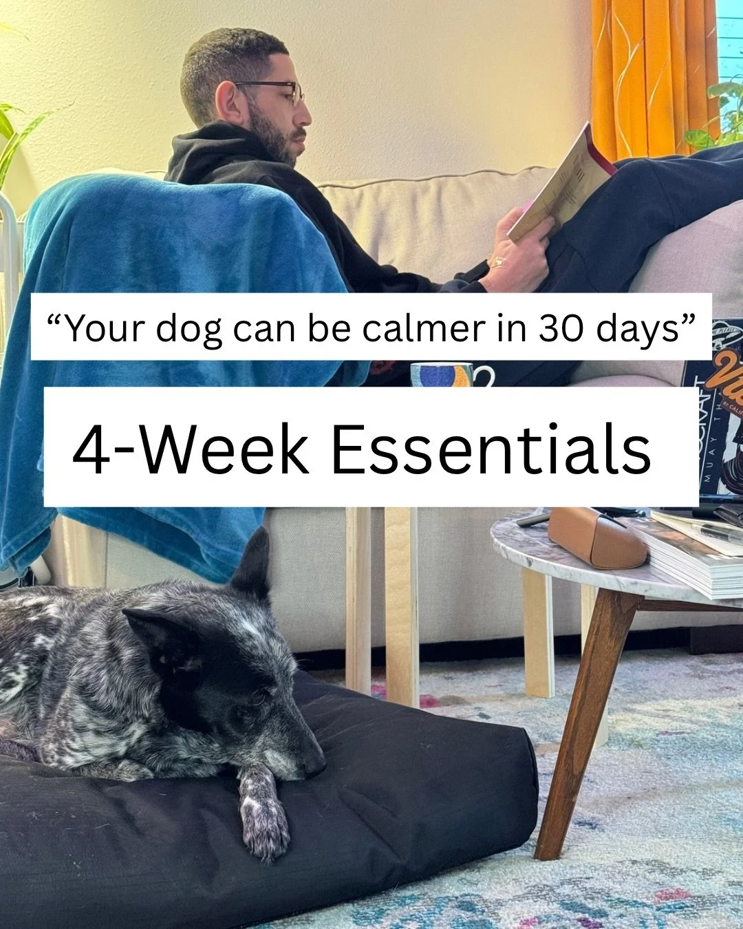 Struggling with a dog who won&rsquo;t settle, pulls on walks, or seems &ldquo;stubborn&rdquo;?
Most dogs don&rsquo;t need harsher corrections or more exercise&hellip;
They need clarity and structure.

That&rsquo;s exactly what the 4-Week Essentials P