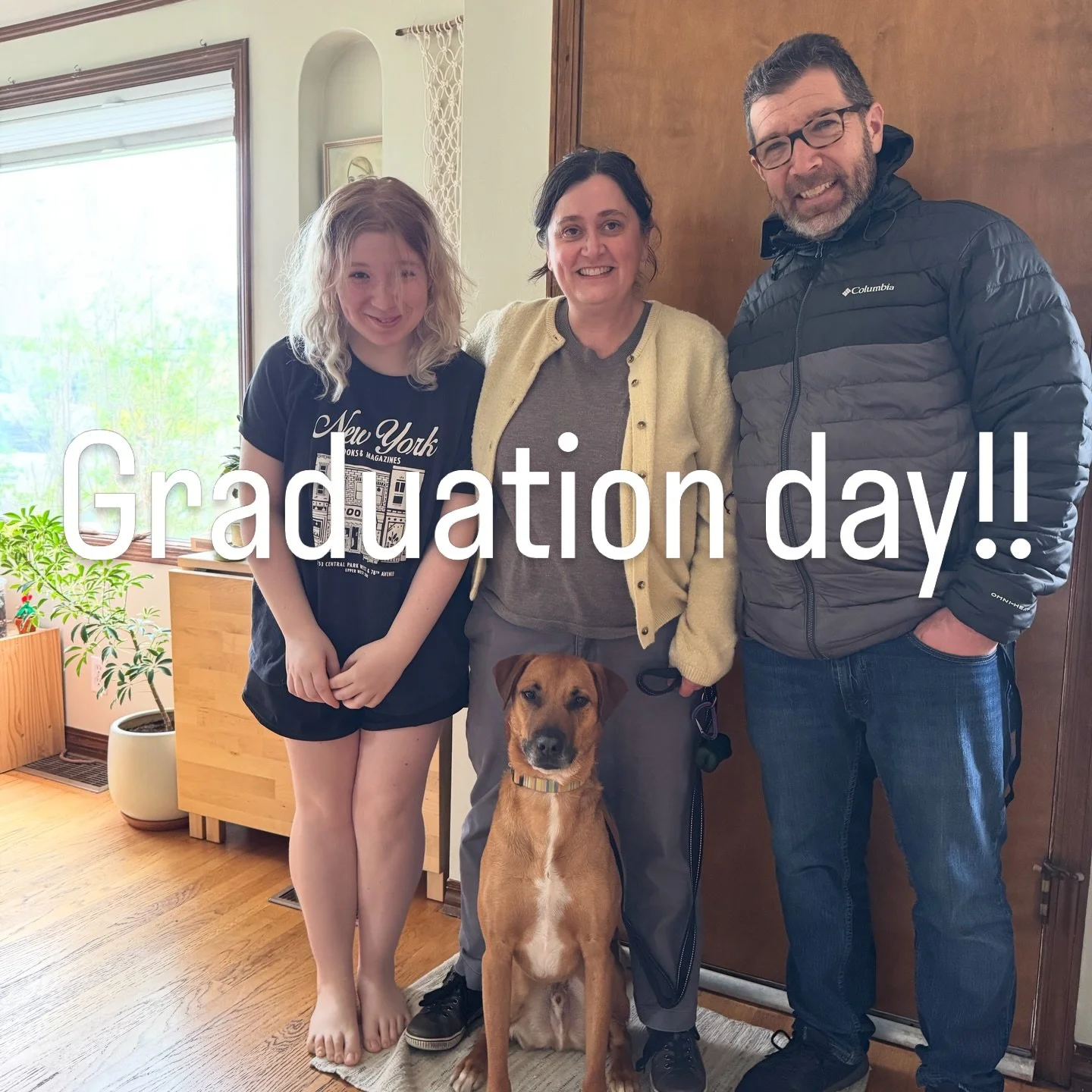 We had a great final lesson with this family and their rescue dog Tuck.

By the end of our lessons we accomplished their two goals.
1 - Not chasing the cat (the have been able to take down the gates and their cat can now move freely around the hose a