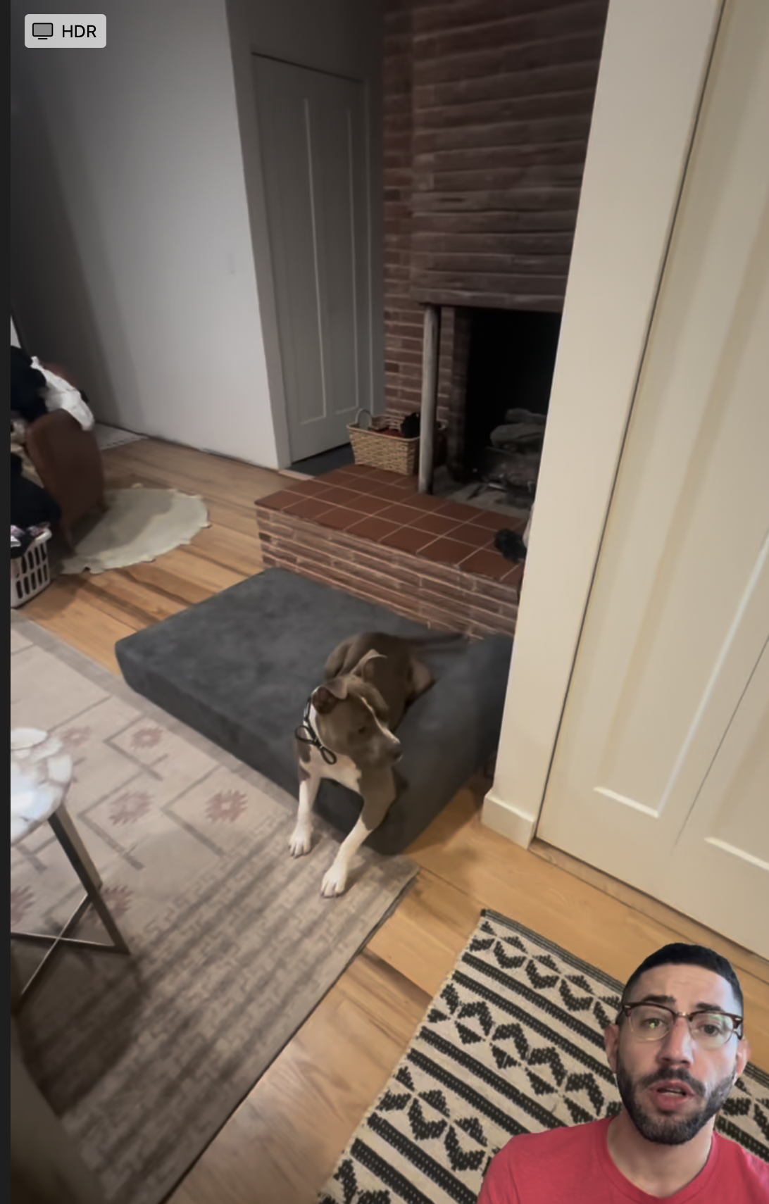 Interior view of a living room with a dog lying on a raised dog bed, a fireplace with a brick surround, hardwood flooring, and a person with dark hair and glasses wearing a red shirt in the bottom right corner of the image.
