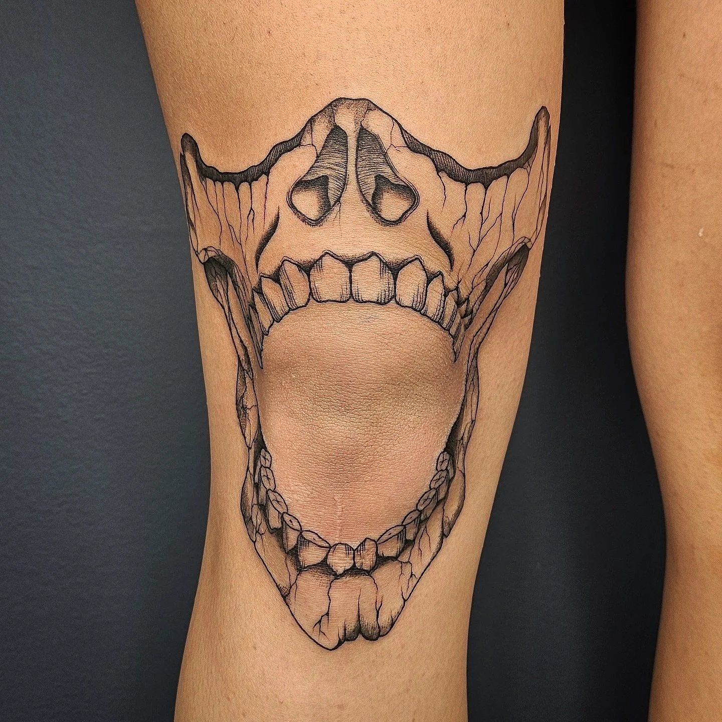 -
☠️▫️▪️OWEN ▪️▫️
@tattooer_owen
@ericarandolph

Thank you Erica 🥰
-
✔️DM welcome
🖤 lazybonestattoo.com for booking
(Closed on Wed&amp;Thur)