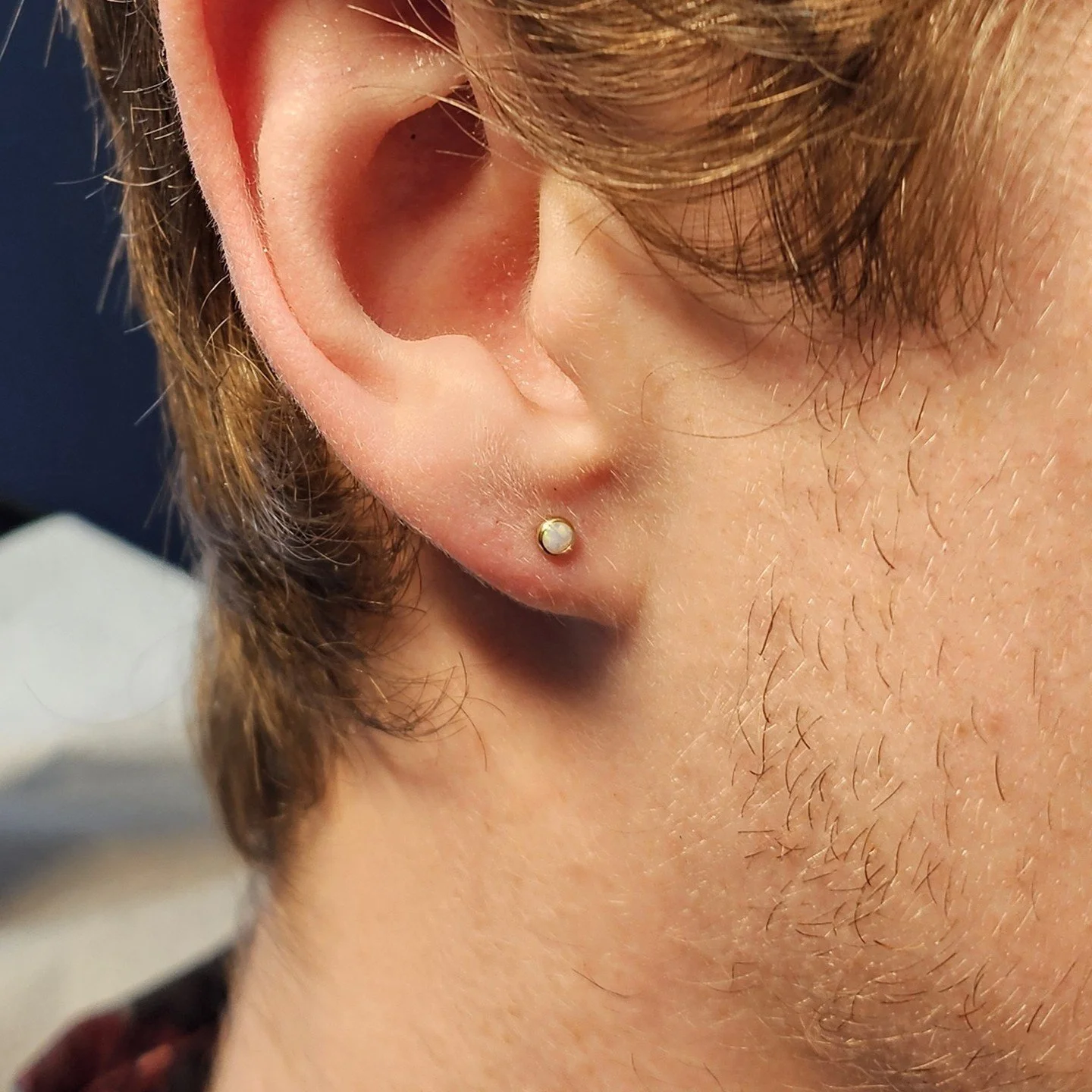 [PIERCING] Lobe Piercings

Walk-in &amp; Appointment welcome ✨
@lazybones_piercing
-
✔️booking: lazybonestattoo.com
✔️DM welcome
📱780-566-0038
📧lazybones0926@gmail.com
(Closed on Wed&amp;Thur)
-
-
#edmontonpiercing#yegpiercing#whyteavepiercing#pier
