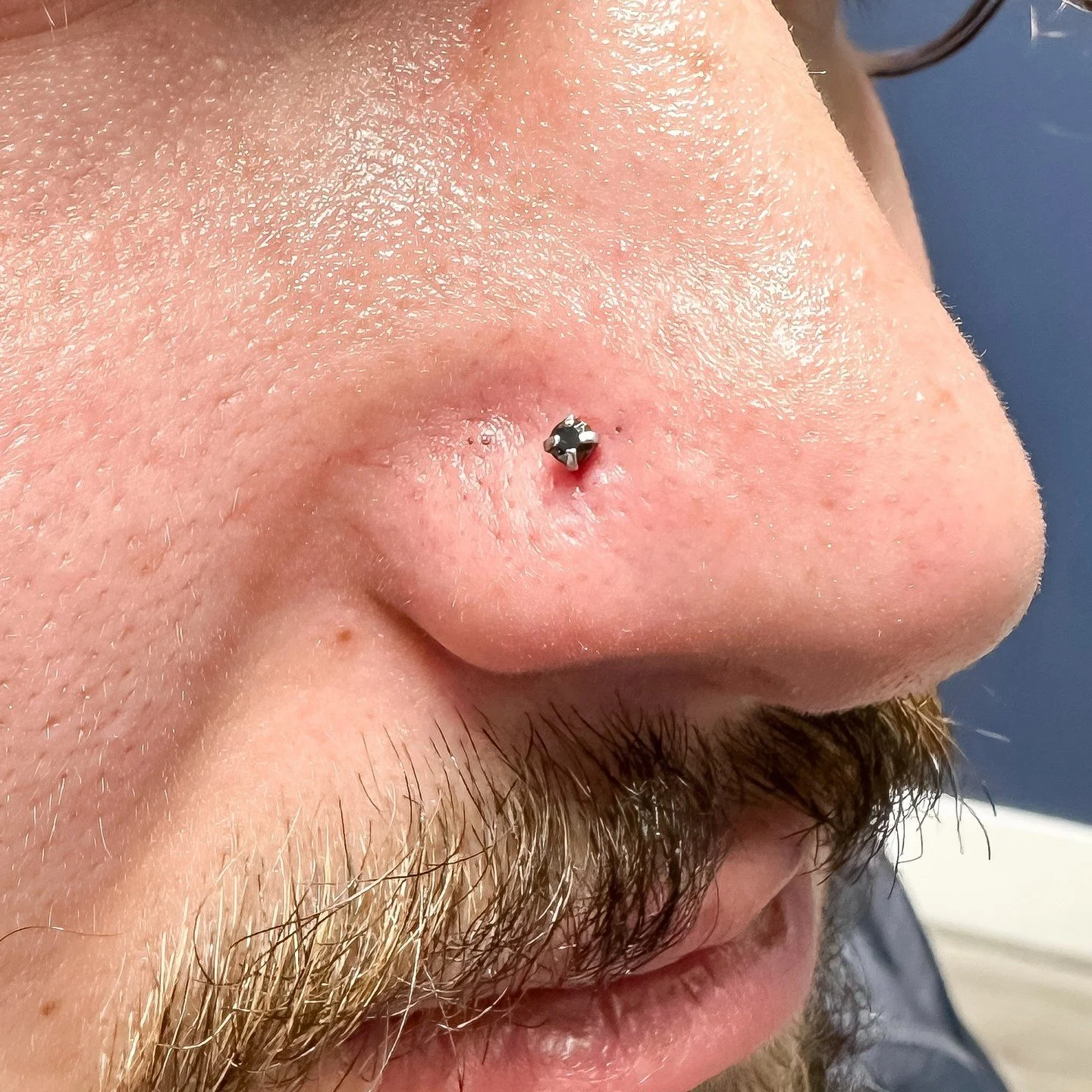 [PIERCING] Nostril Piercings

Walk-in &amp; Appointment welcome ✨
@lazybones_piercing
-
✔️booking: lazybonestattoo.com
✔️DM welcome
📱780-566-0038
📧lazybones0926@gmail.com
(Closed on Wed&amp;Thur)
-
-
#edmontonpiercing#yegpiercing#whyteavepiercing#p