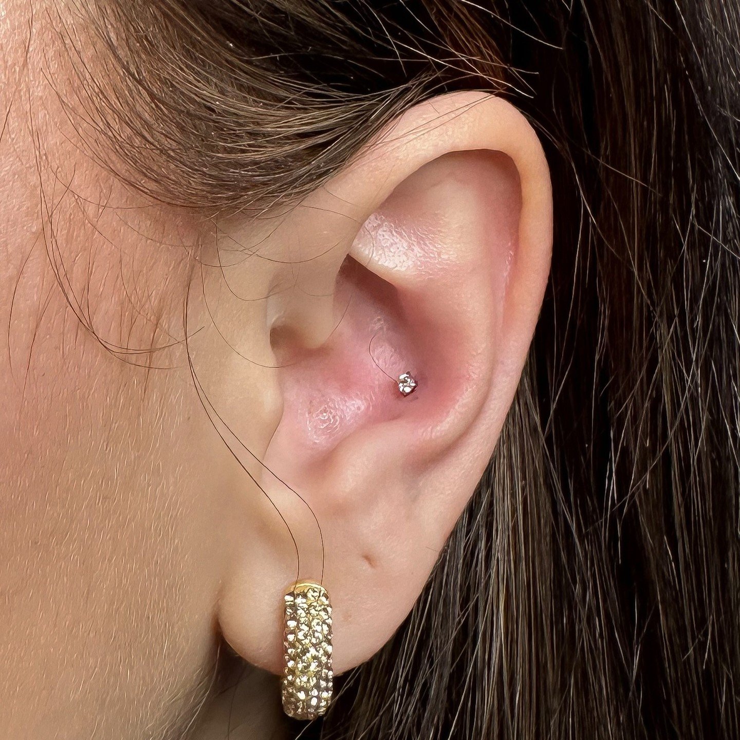 [PIERCING] Inner conch Piercings

Walk-in &amp; Appointment welcome ✨
@lazybones_piercing
-
✔️booking: lazybonestattoo.com
✔️DM welcome
📱780-566-0038
📧lazybones0926@gmail.com
(Closed on Wed&amp;Thur)
-
-
#edmontonpiercing#yegpiercing#whyteavepierci