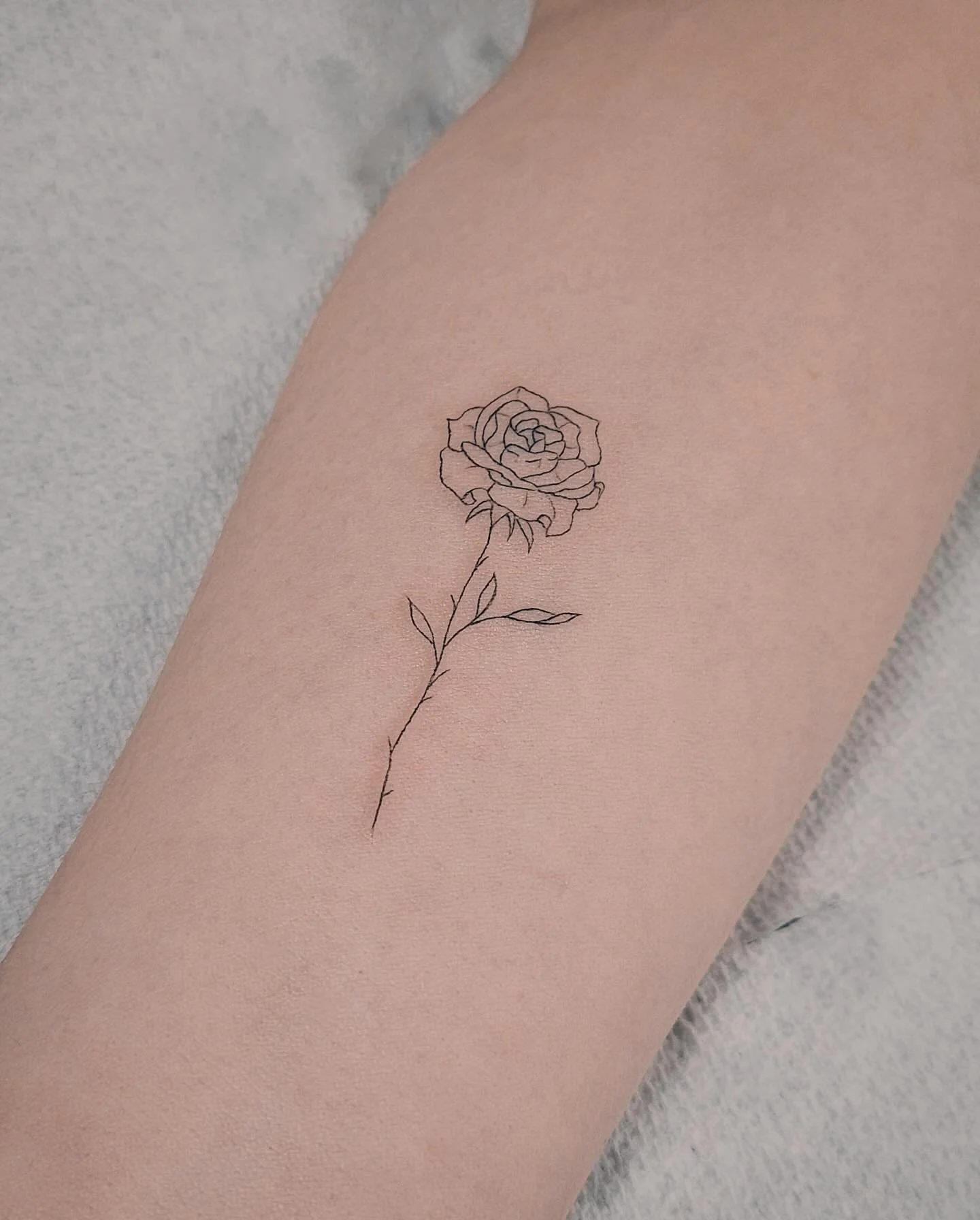 *⸌☻ັ⸍ JENNY ⸌☻ັ⸍*
🌹
✧⋆&mdash;&mdash; ✧ *⋆* ✧ * ⋆* ✧ * ⋆* ✧&mdash;&mdash;⋆✧

@potat_too_ 
@lazybones_tattoo 

Thank you for your trust ◡̈