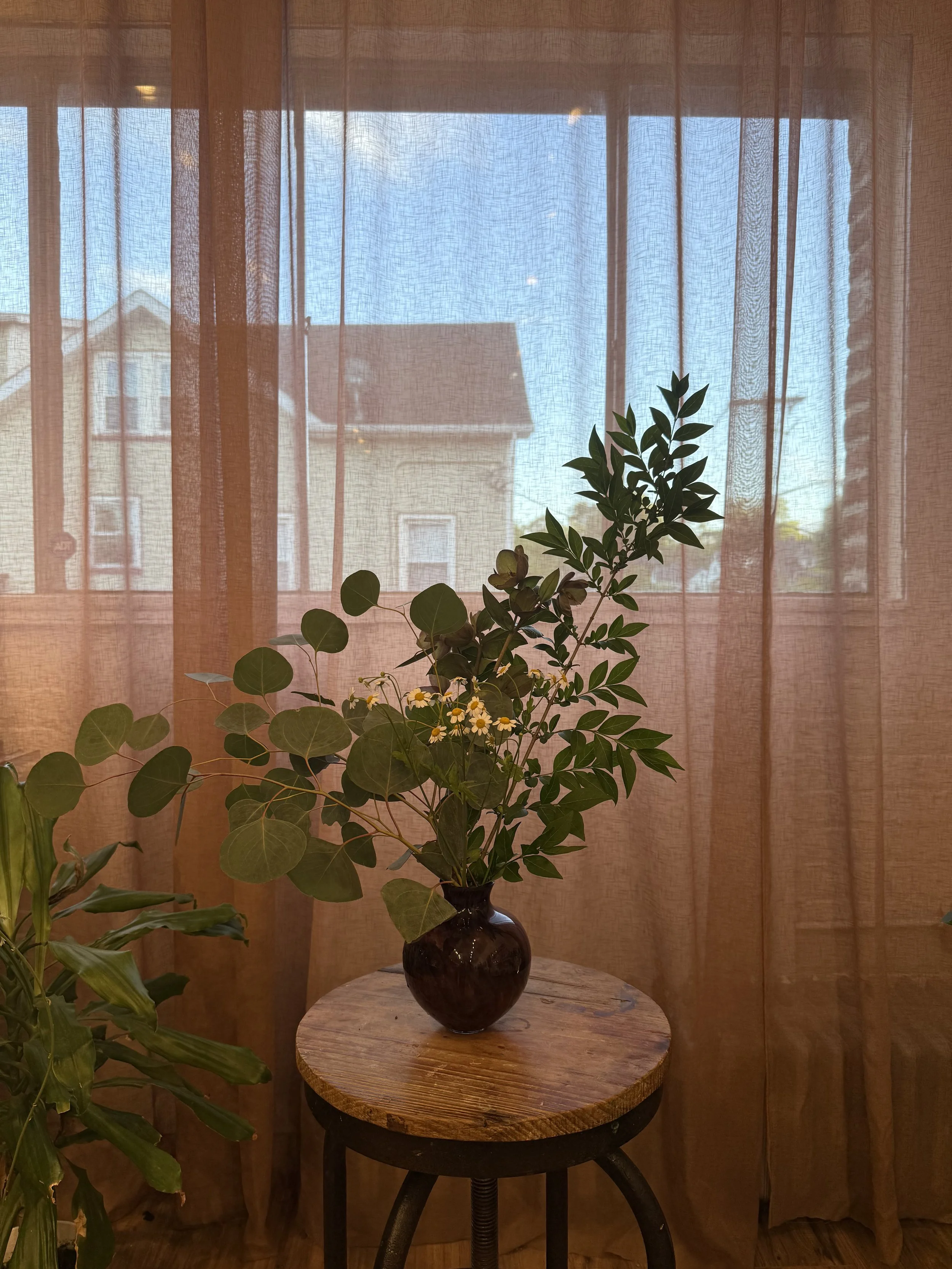 IMG_3055.jpeg