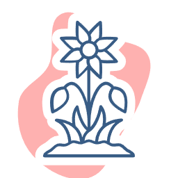 A flower growing