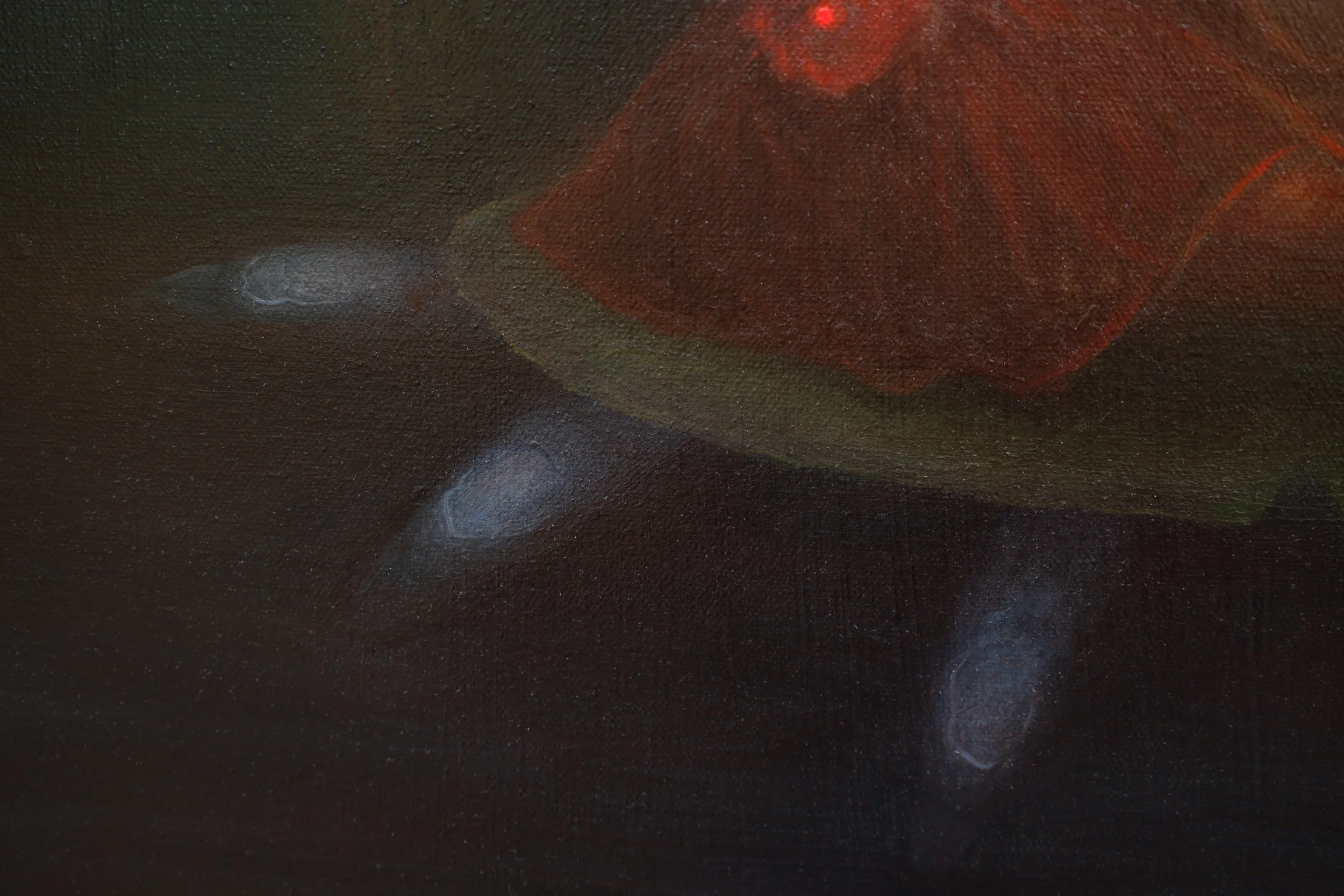 dearduality-closeup-03.jpg