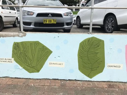 Seaweed Mural