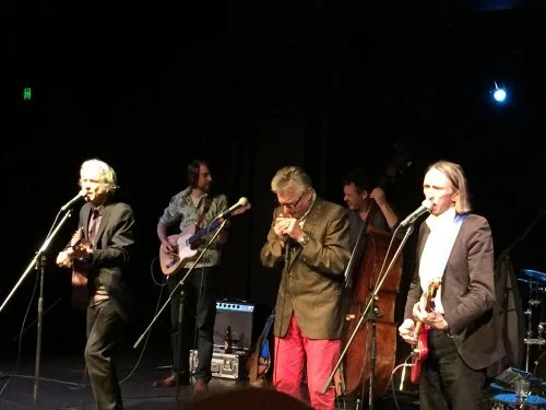 Pavsonic - The Pinks