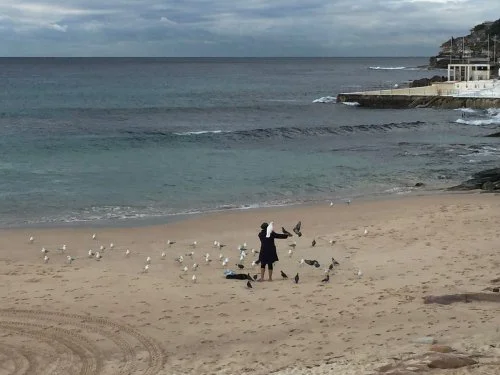 Bondi's Bird Whisperer