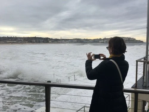 Bondi Fresh Daily in Action