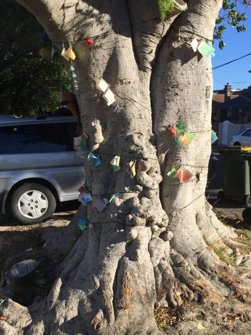 Wishing on Wairoa