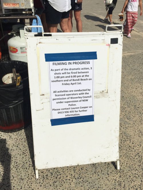 Top of the Lake Shoot