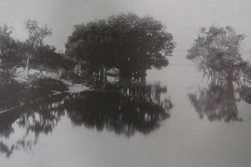 Bondi History | The Lagoons