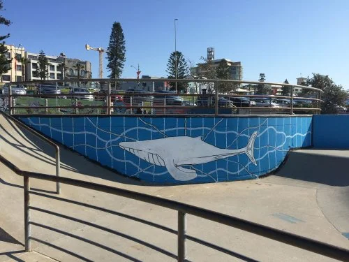 Whale