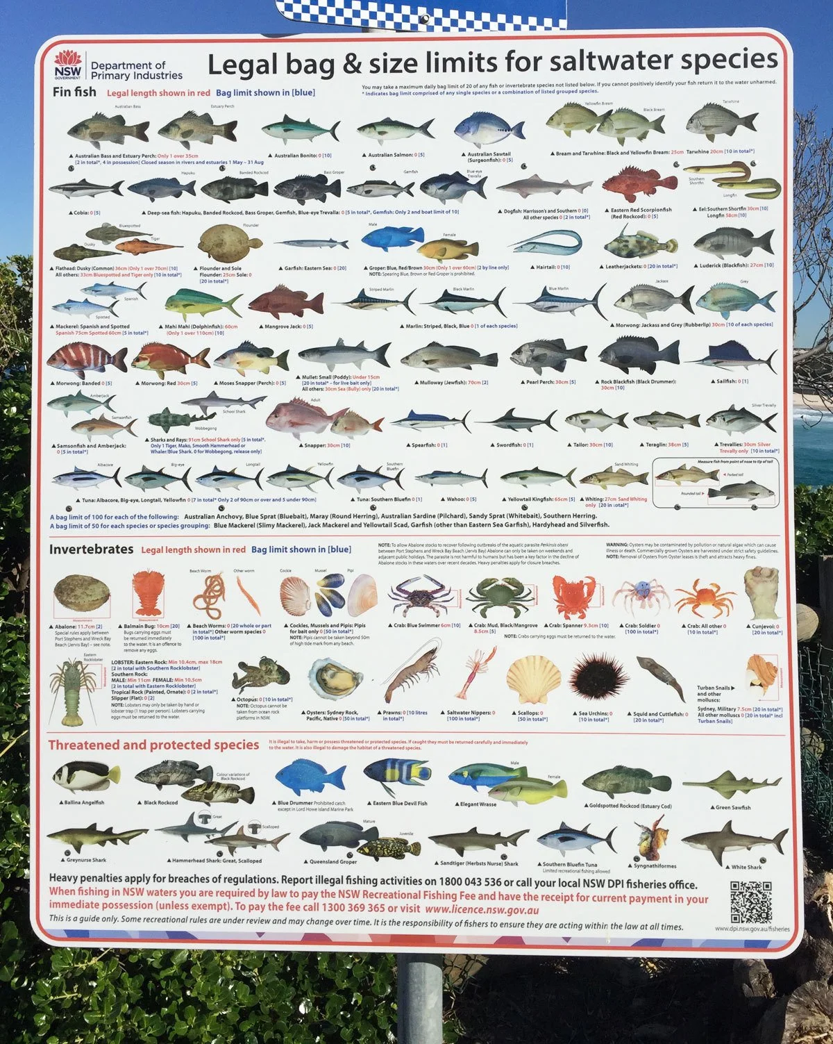 Anglers Take Note