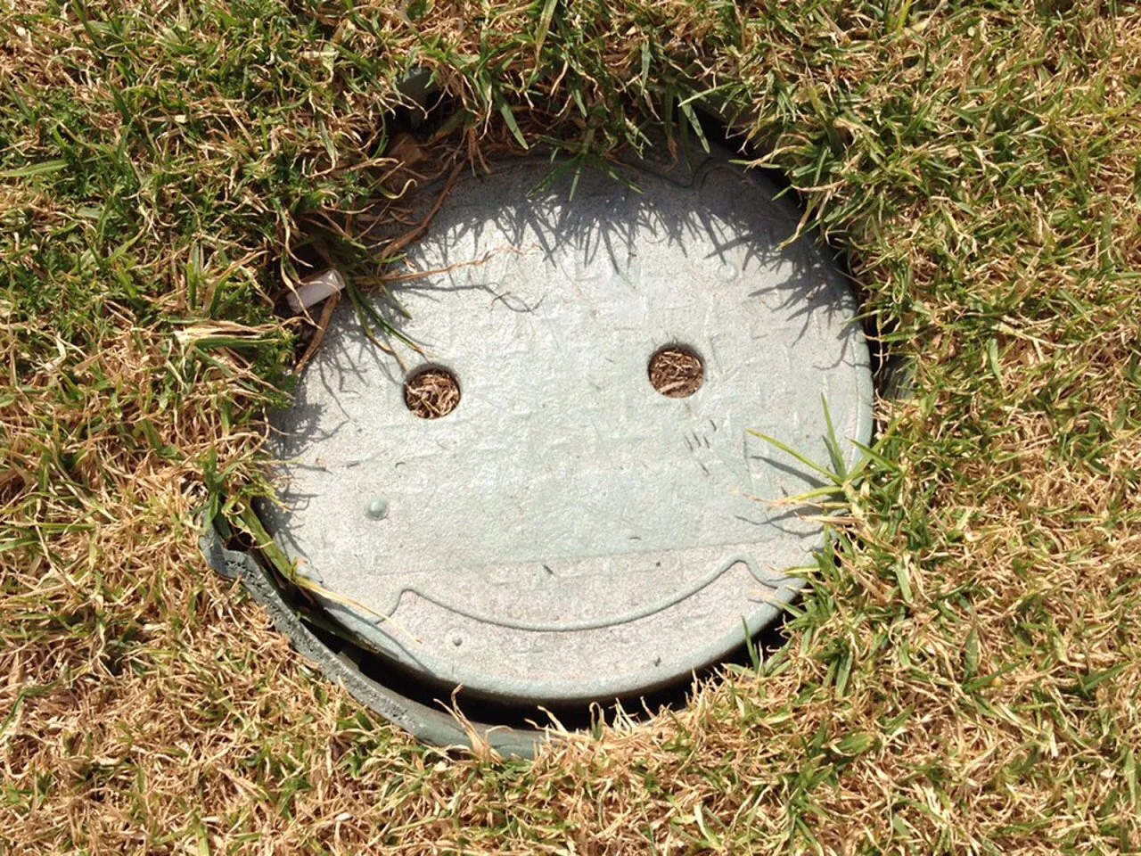 Cheery!
