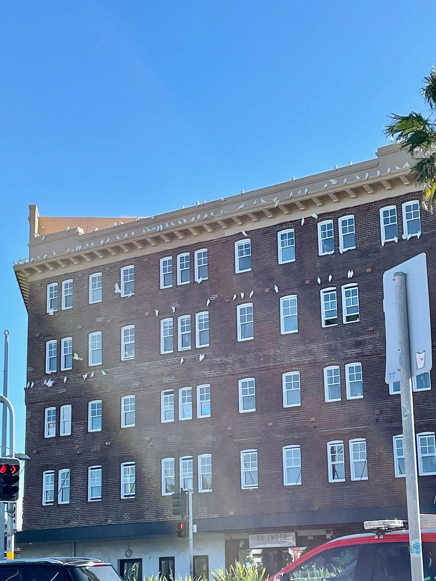 Hitchcock with a Beach Vibe