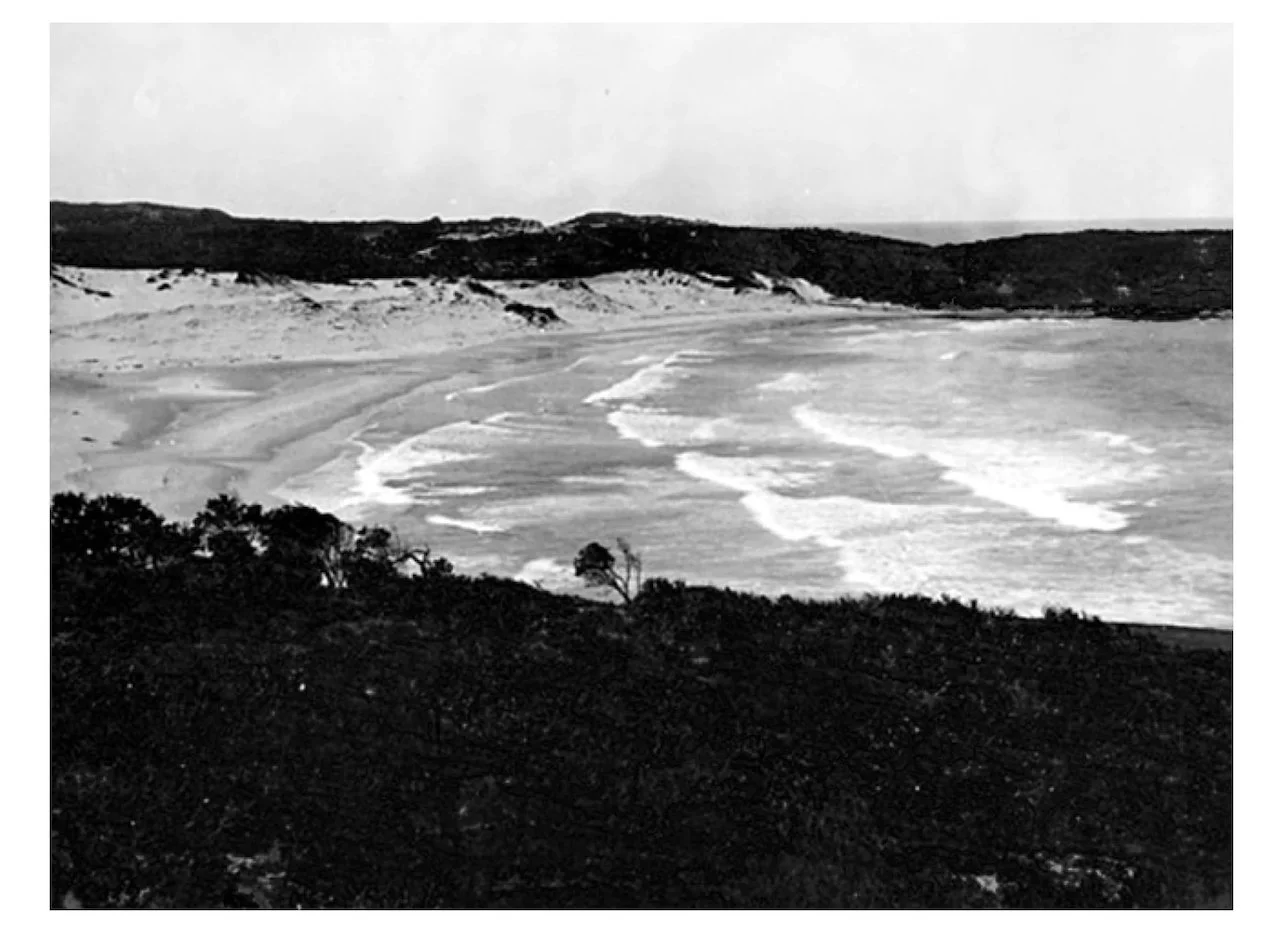 Bondi History | Bondi Beach 1870s