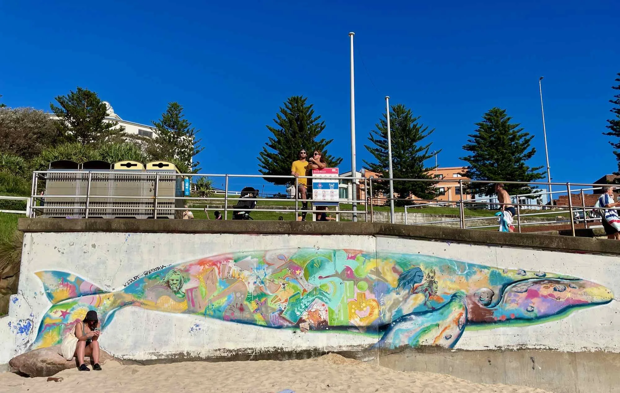 Southern Right Whale 