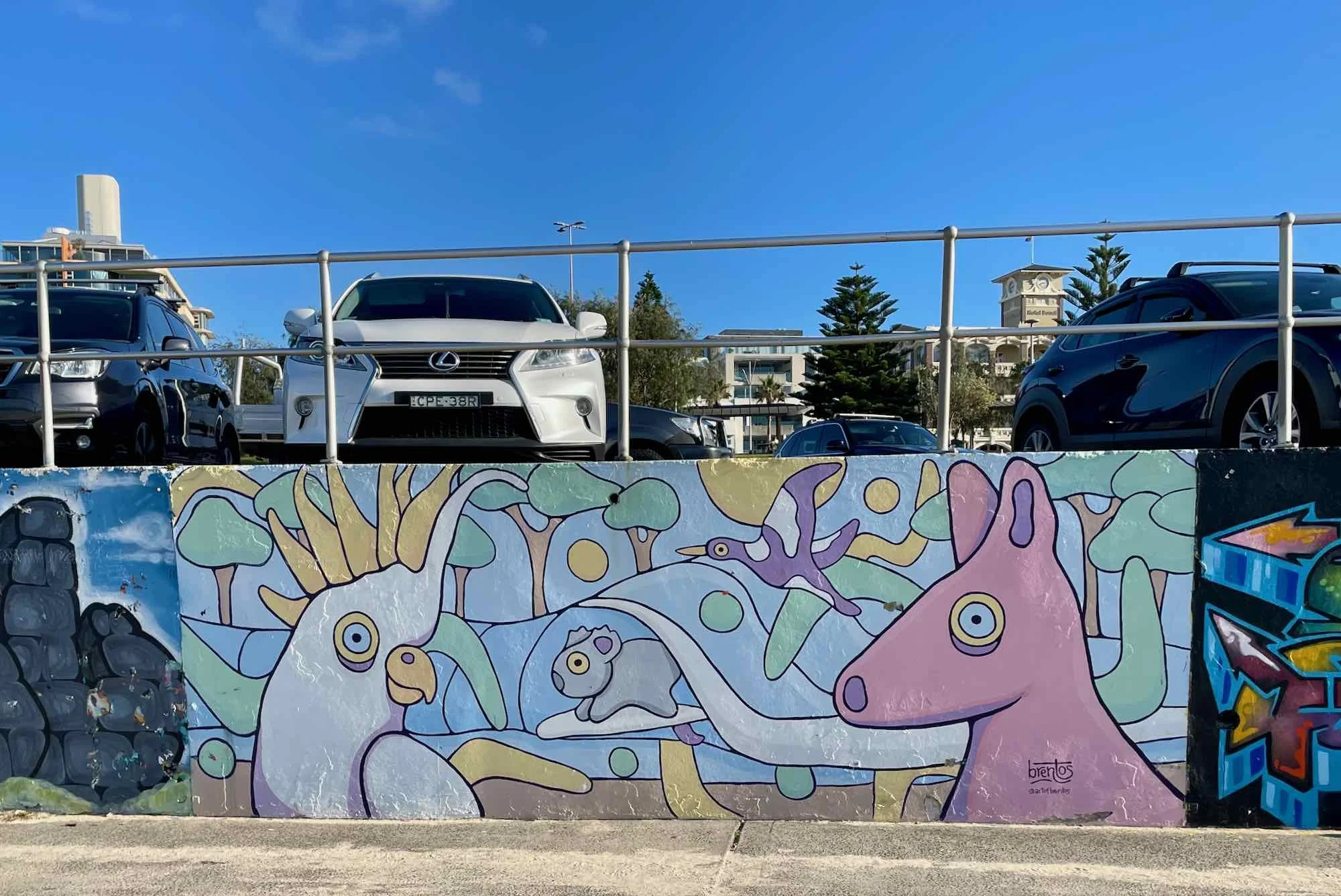 Native Fauna Mural