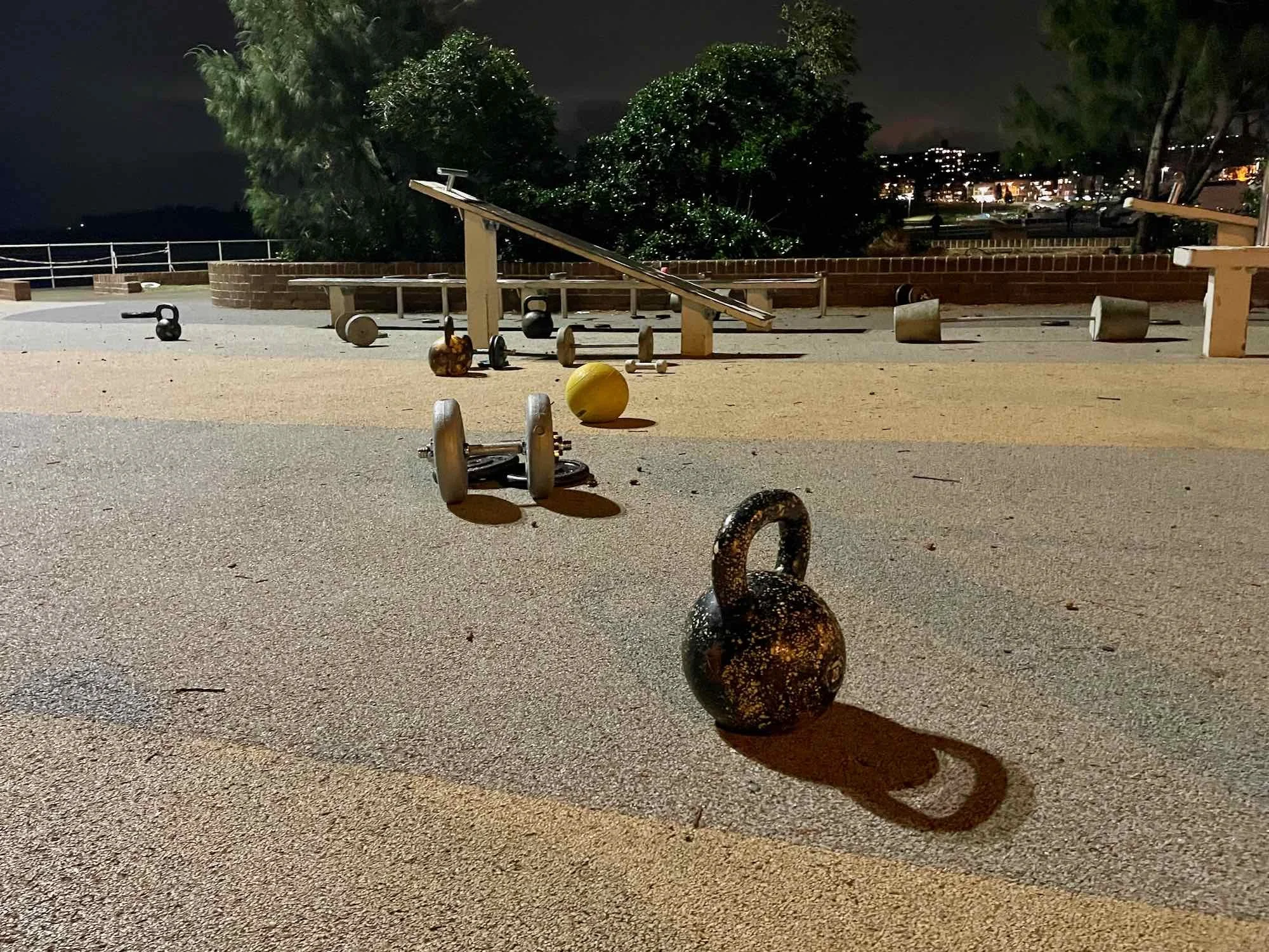 Muscle Park at Night
